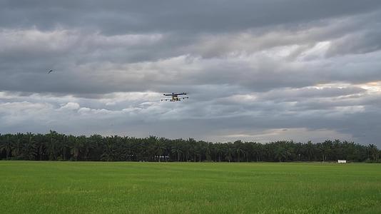 农业无人飞机用于喷洒农药视频的预览图