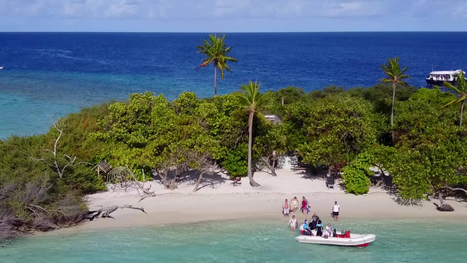 绿海的白色沙滩背景视频的预览图
