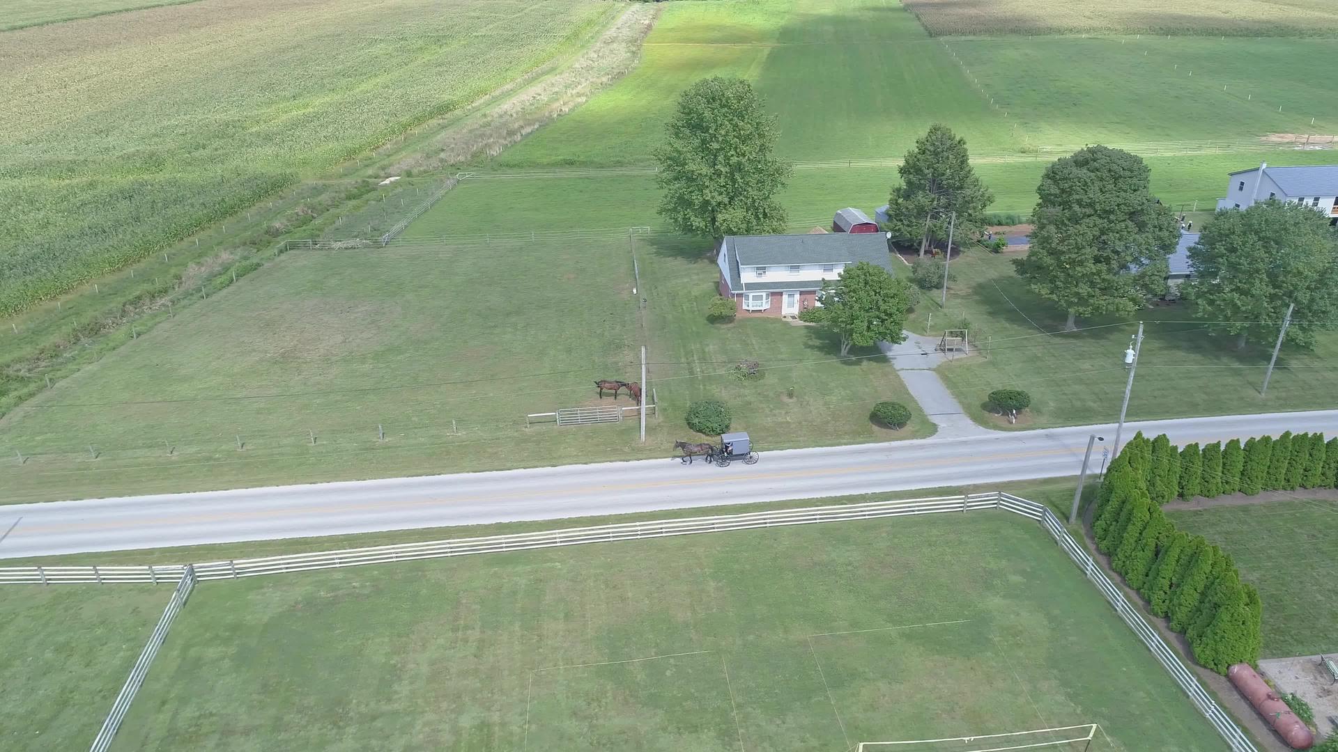美国阿米什村沿路视频的预览图