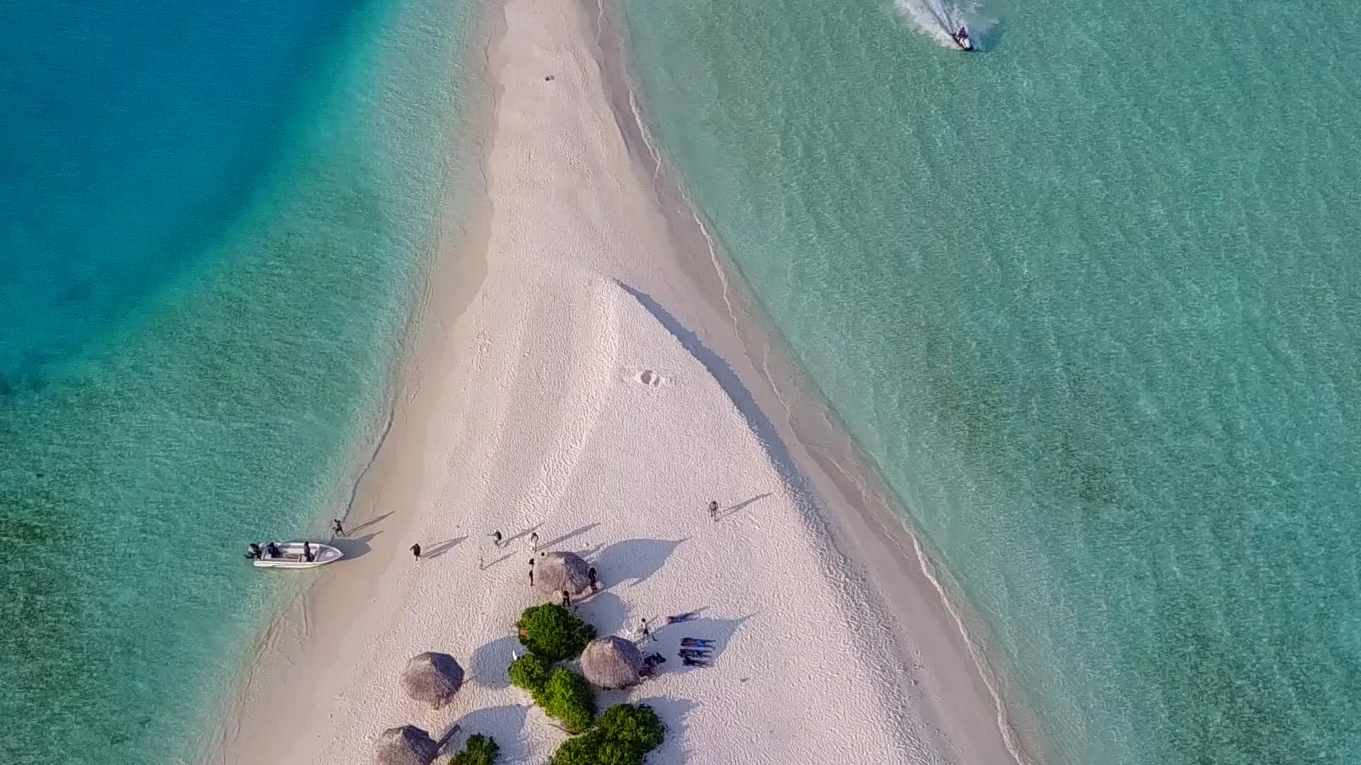 蓝绿色海洋和浅沙背景的天堂海岸海滩野生生物天气全天视频的预览图