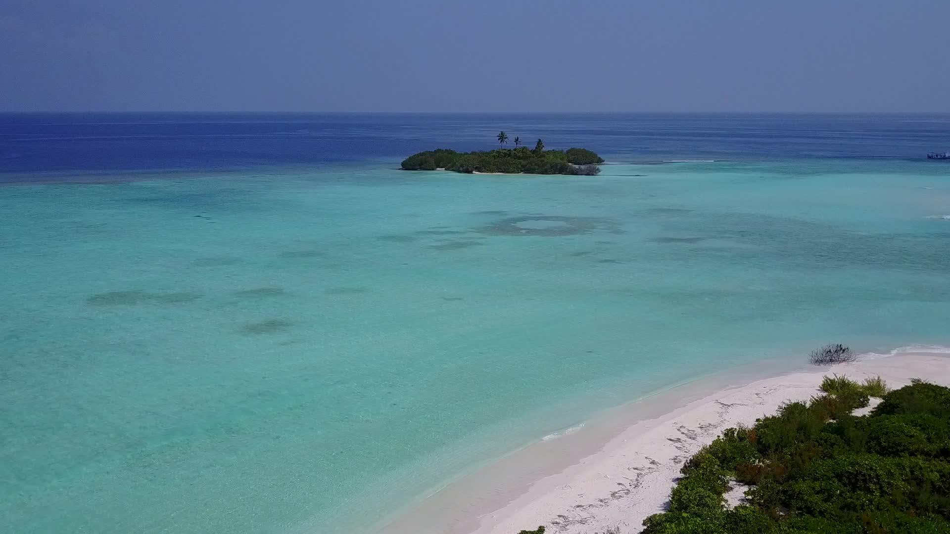 蓝色环礁湖和豪华海滩野生生物的清洁沙地背景视频的预览图
