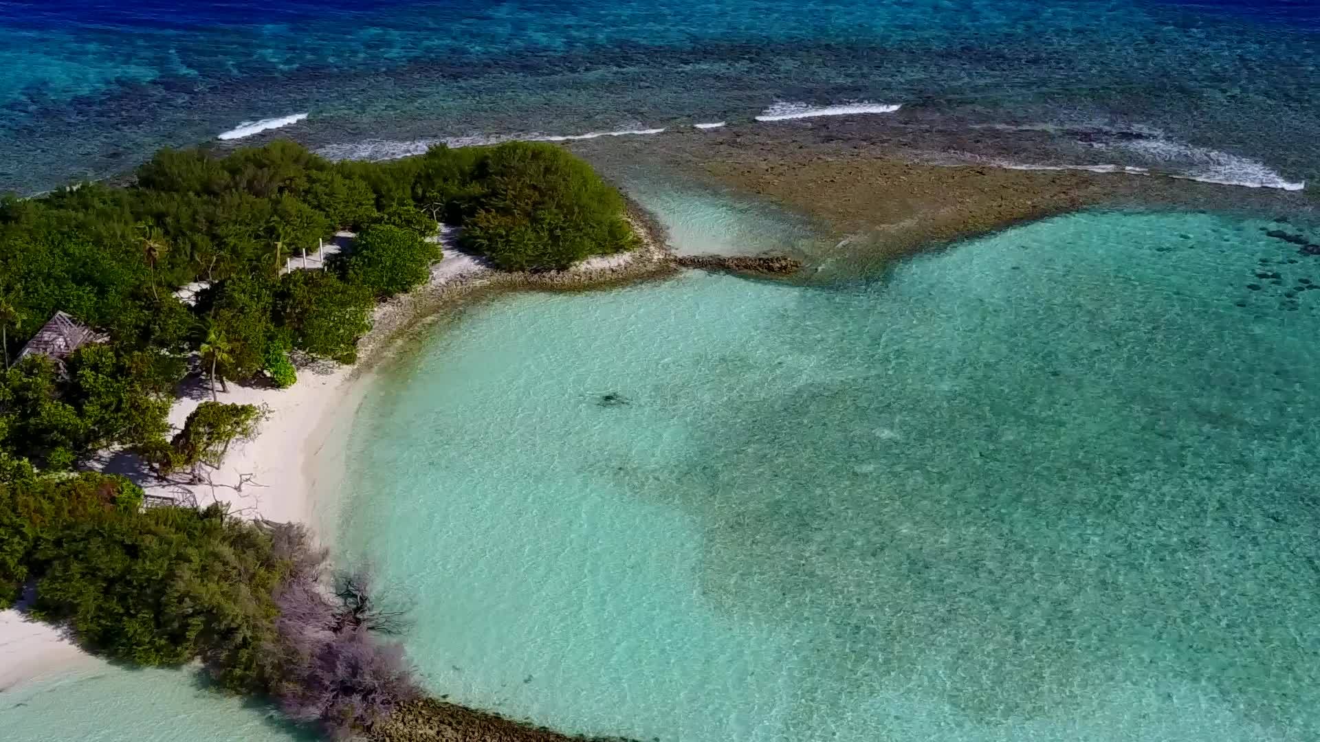 白沙背景蓝绿环礁湖海景和海景视频的预览图