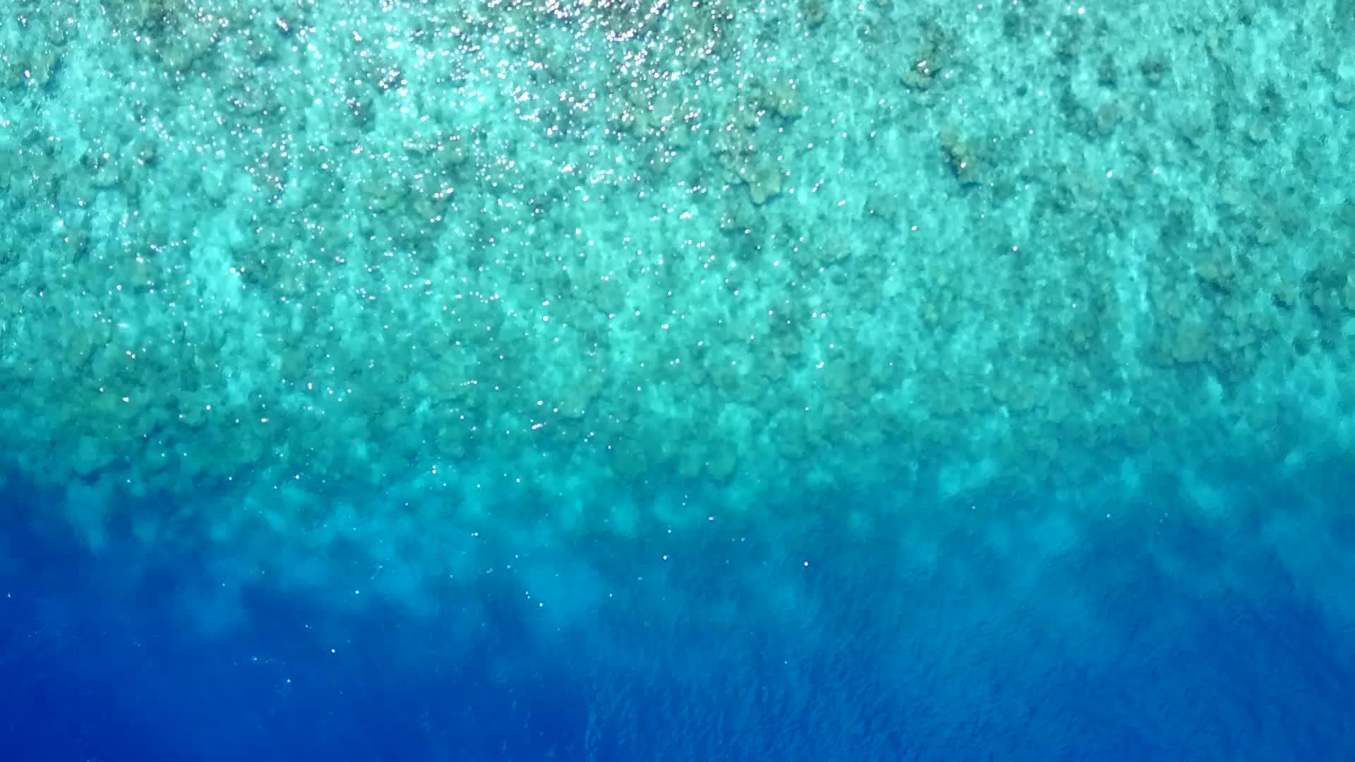 以清洁沙土为背景的浅海是间歇性旅游海滩的天堂视频的预览图