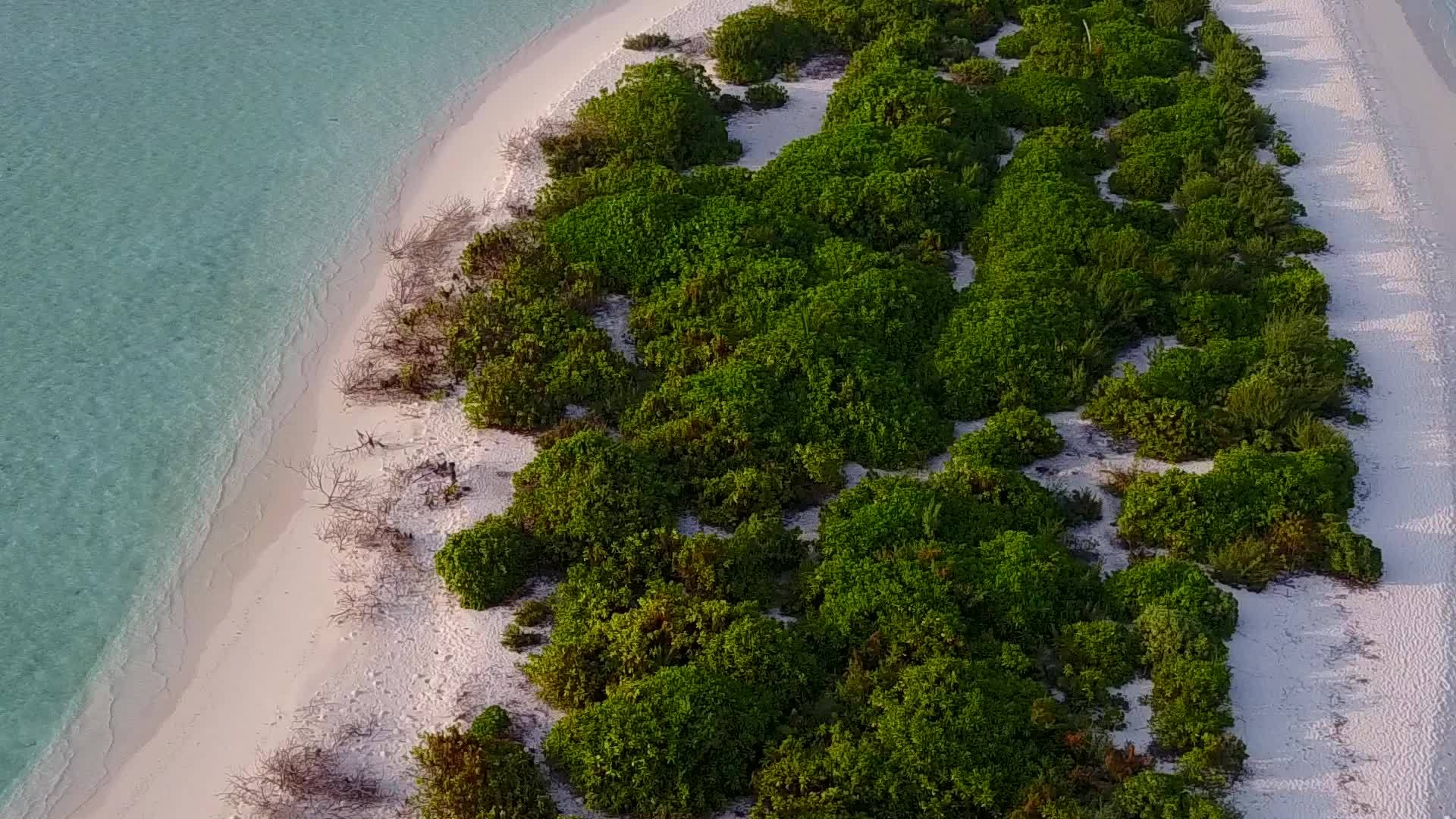 蓝绿色海洋和白沙背景的海滨野生生物的海洋视频的预览图