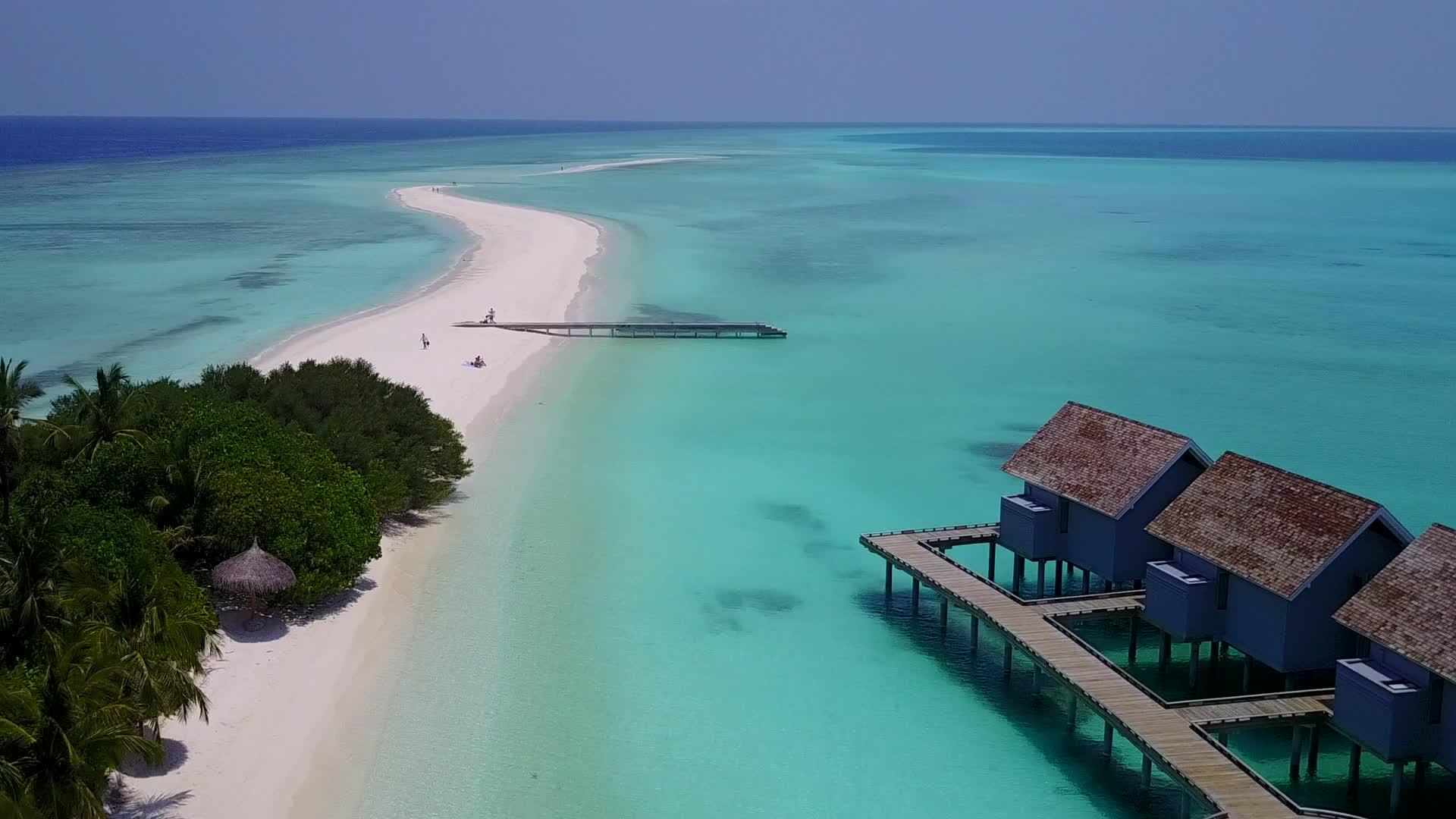 蓝色环礁湖和白色海滩背景的美丽海滩野生动物在空中无人驾驶视频的预览图