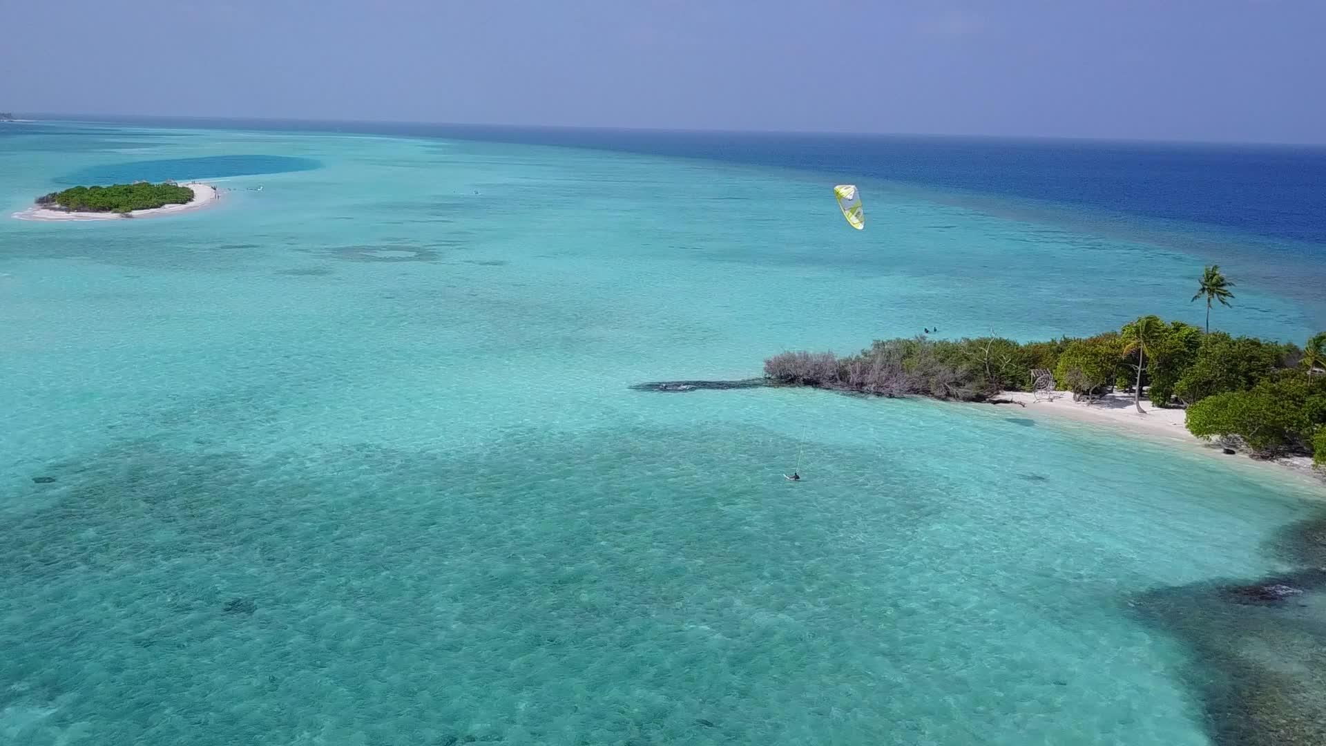 沿海海滩野生动物通过透明的白色沙滩背景水进行视频的预览图