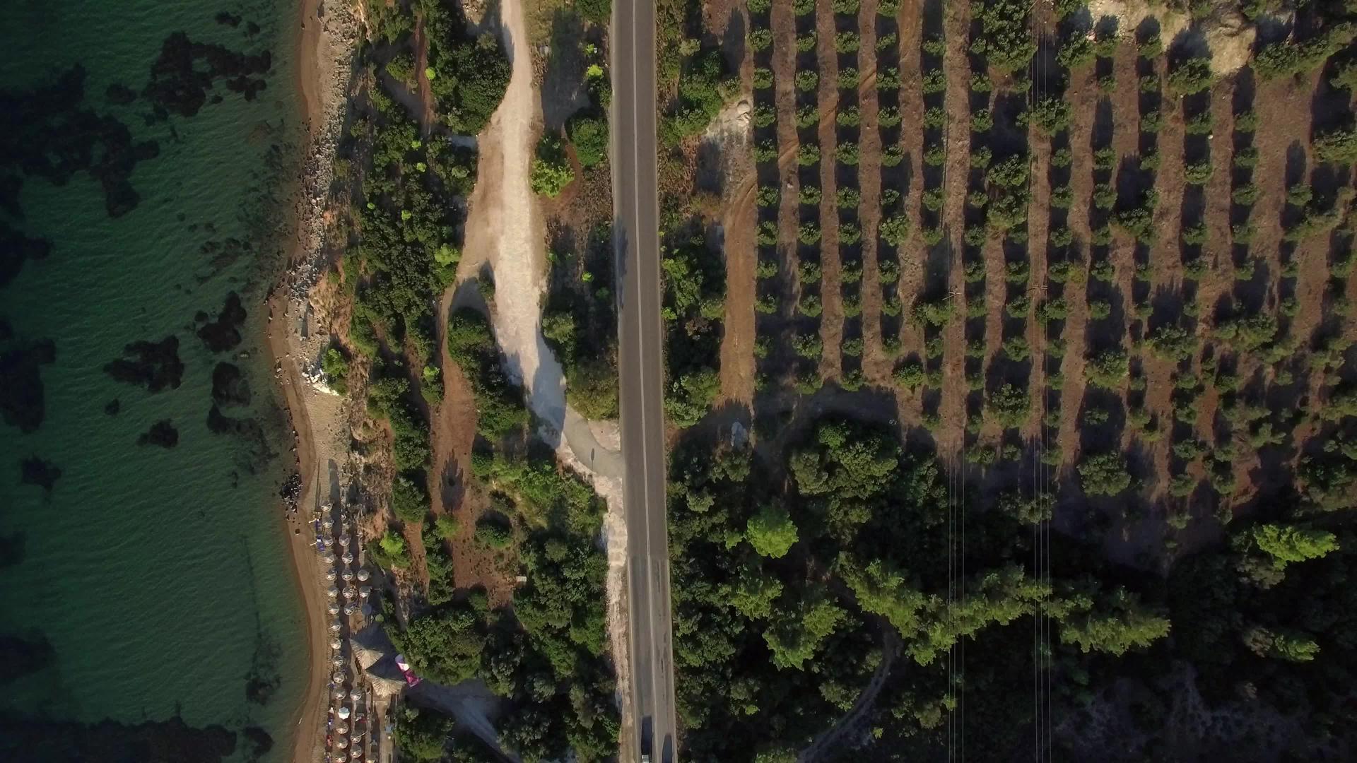 海上海岸的空中射击绿树和沿河黑泥滩的道路视频的预览图