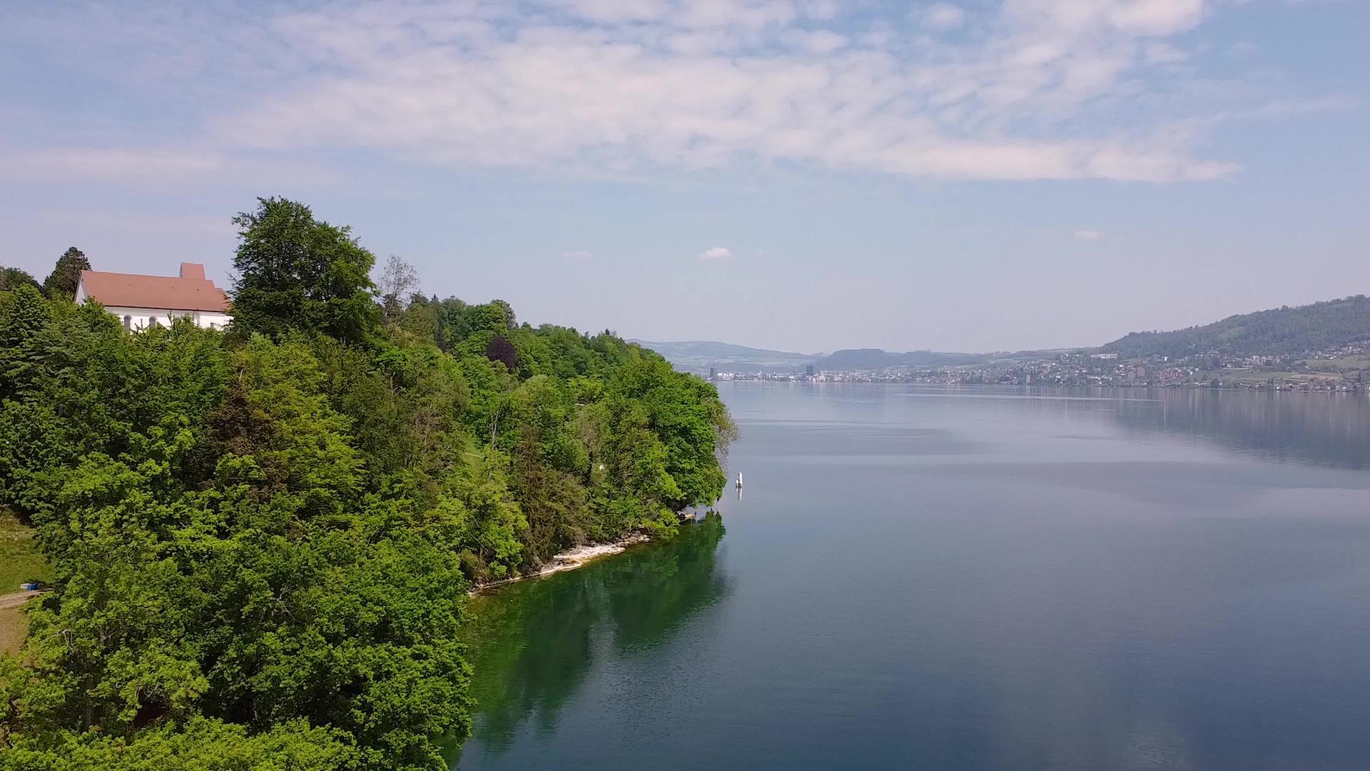 清澈的湖水和绿树视频的预览图