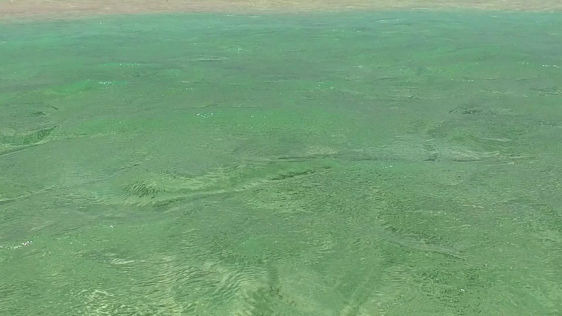 白沙背景蓝海宁静海岸线海滩空中无人机旅行视频的预览图