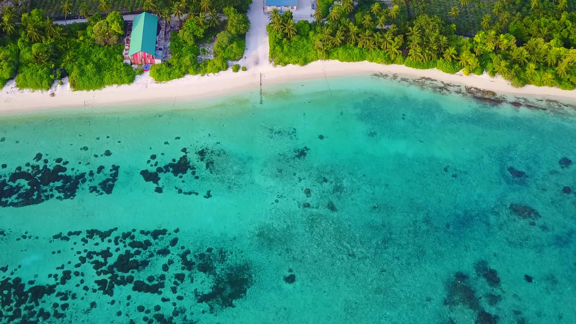 豪华海景海滩海滩由深蓝色水礁环礁湖和明沙背景组成视频的预览图