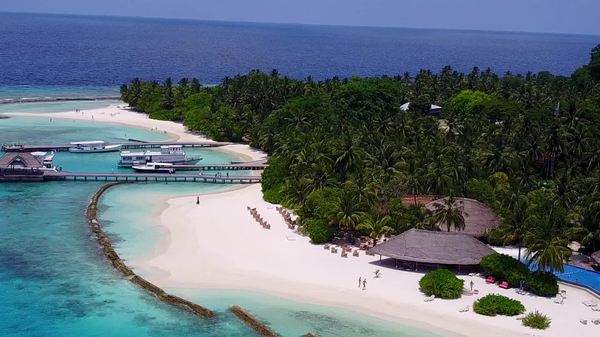 完美的岛屿海滩野生动物的蓝绿色海洋和浅沙背景视频的预览图