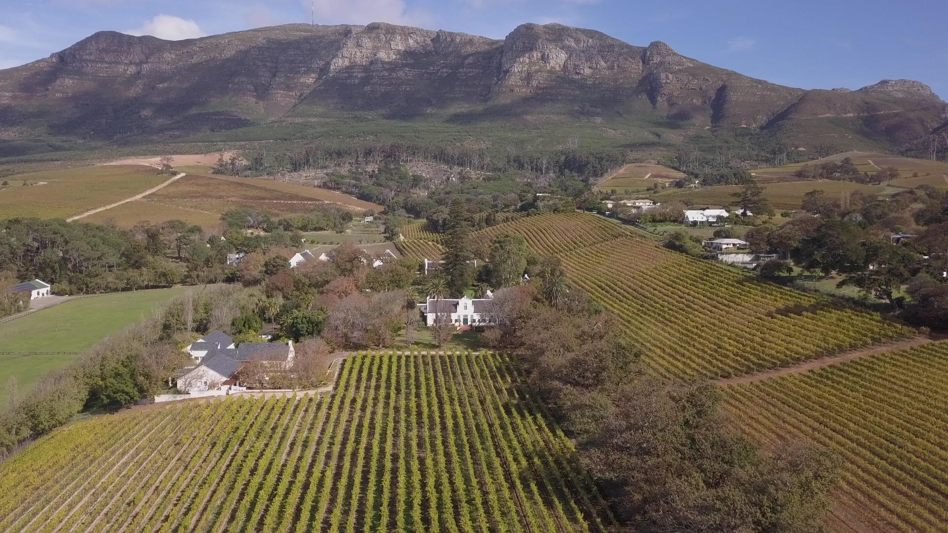 葡萄园上空飞行位于非洲南部角斗篷镇附近的葡萄园视频的预览图