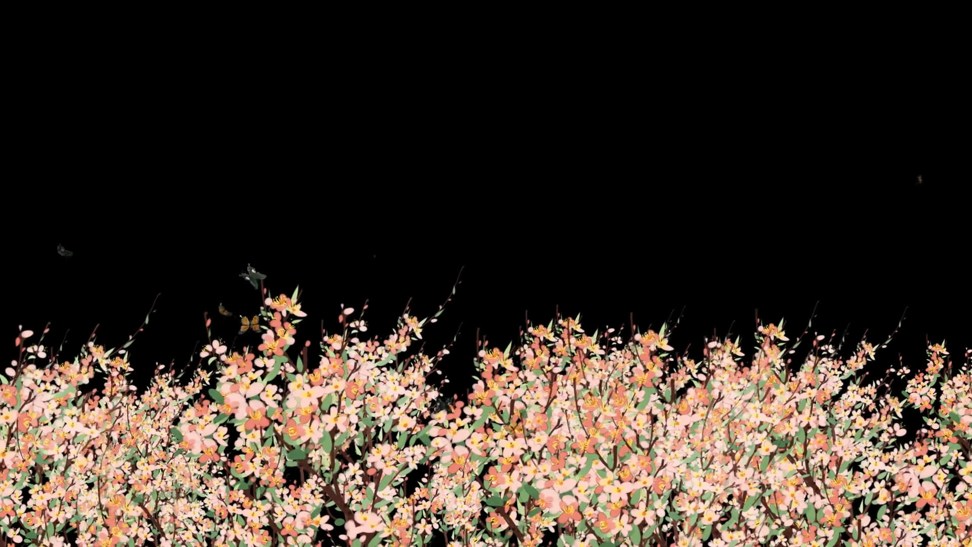 透明通道水墨手绘花朵视频素材视频的预览图