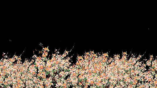 透明通道水墨手绘花朵视频素材视频的预览图