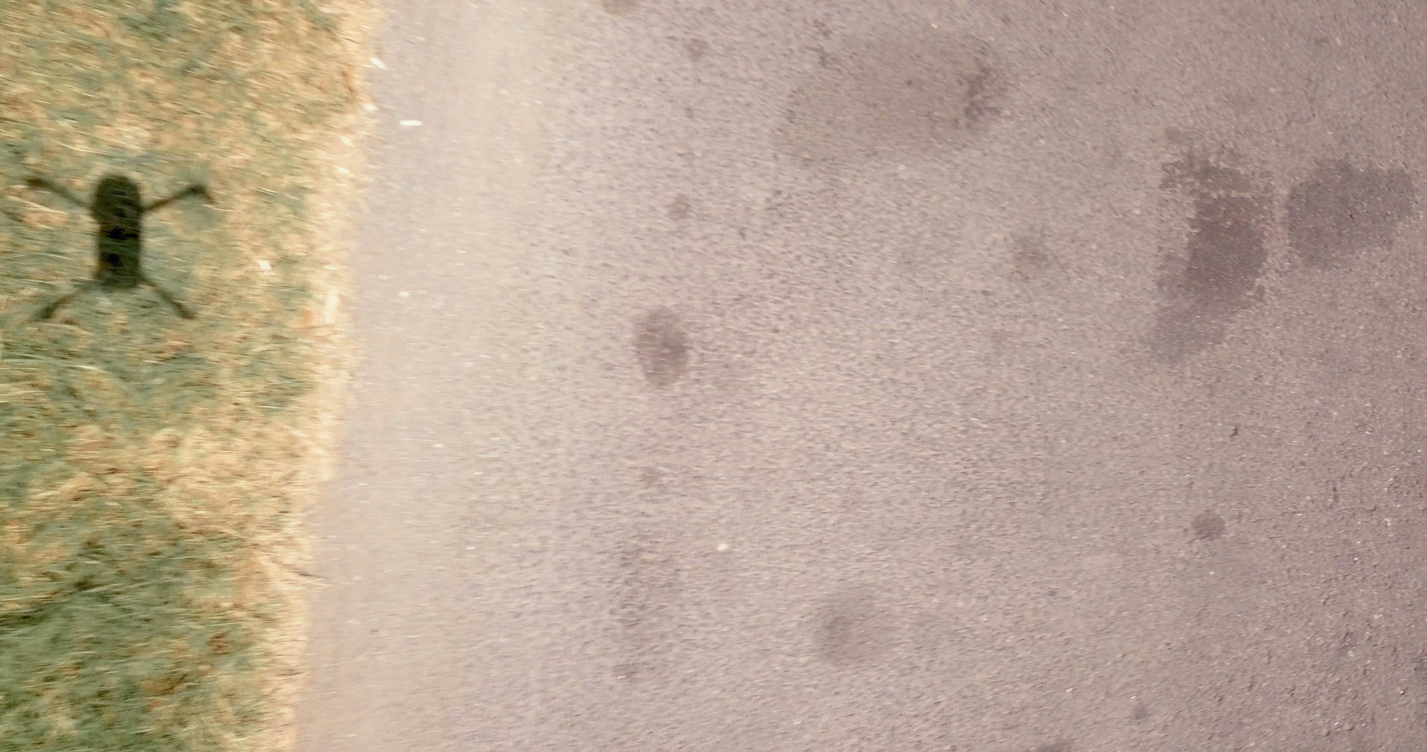 地面上无人机降落的阴影视频的预览图