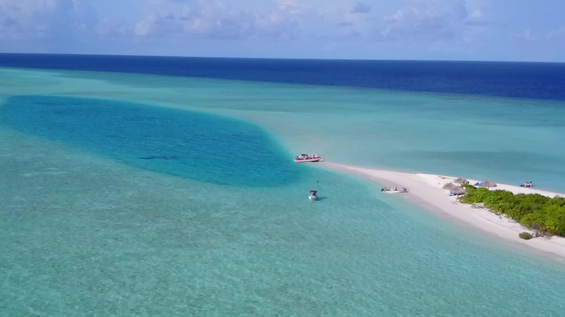 美丽的海滩野生动物通过蓝海和清洁海滩背景的蓝海进行视频的预览图