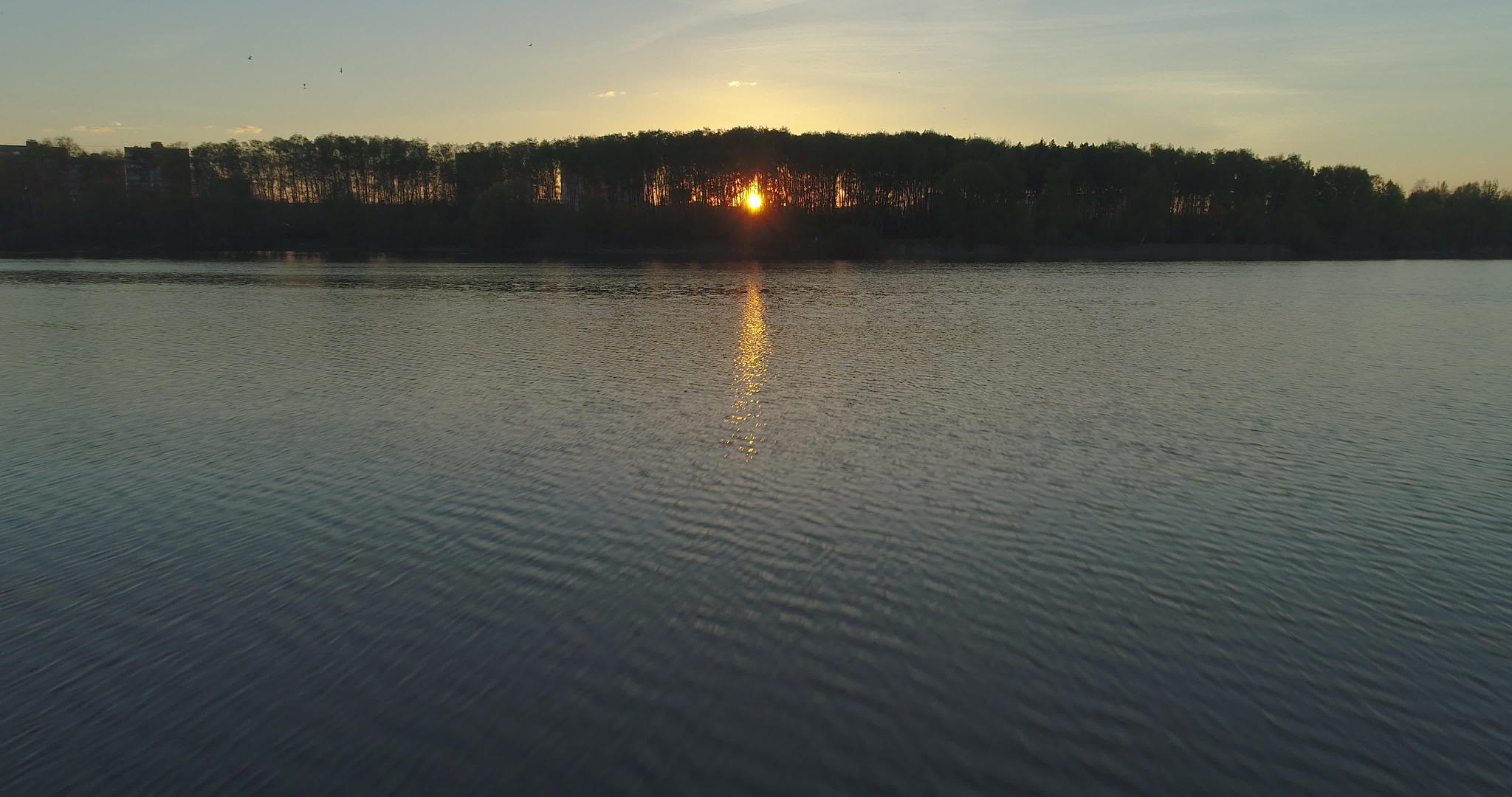 低角度飞过湖面在树后晒太阳日落多彩的天空视频的预览图