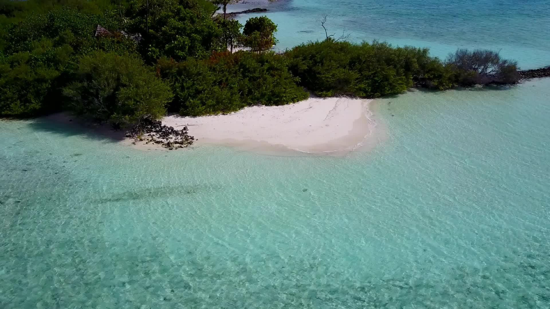 美丽的海岸海滩白沙背景视频的预览图