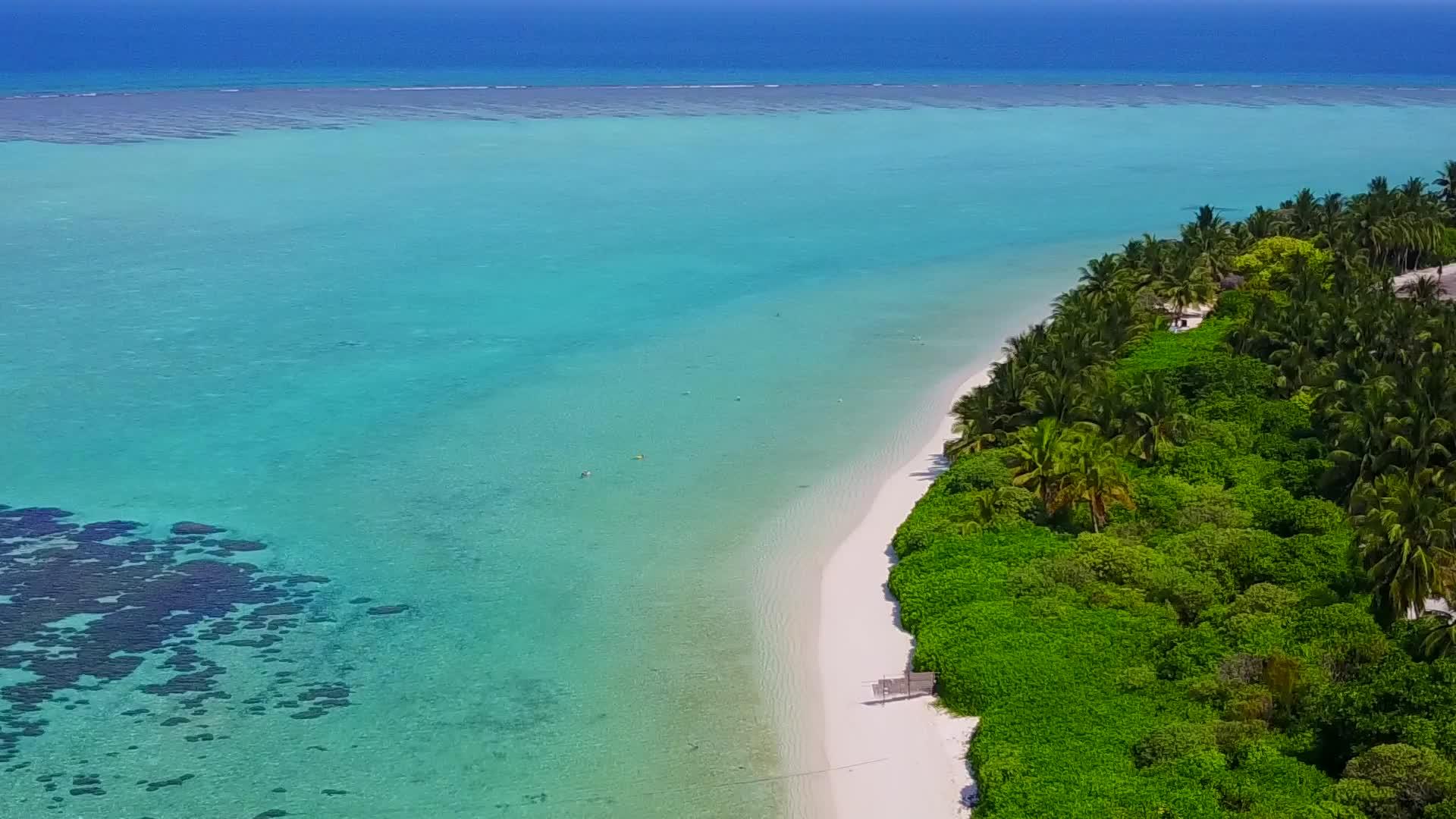 清沙背景的绿色海洋放松了海滩度假的空中观景纹理视频的预览图