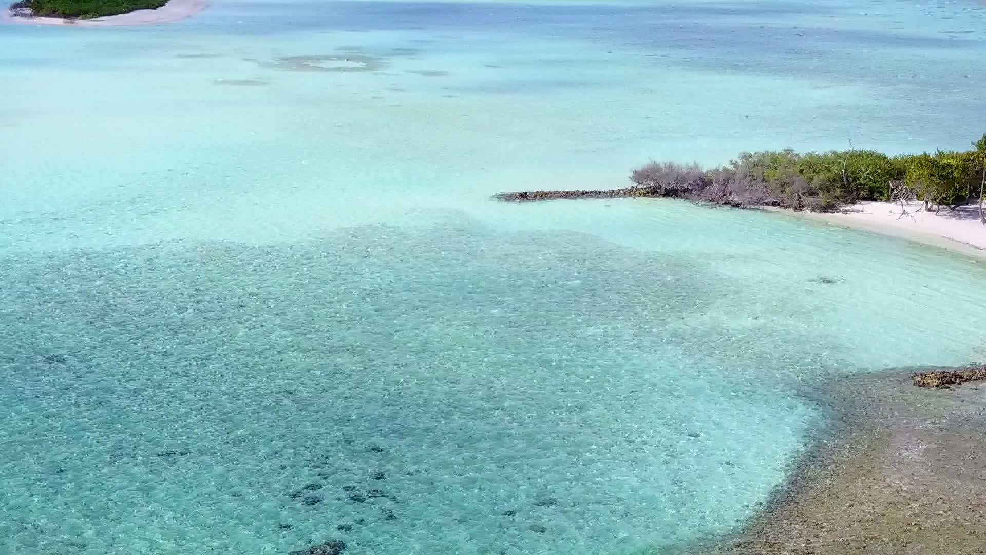 热带旅游海滩野生生物通过蓝色海洋和白色沙底背景观测视频的预览图