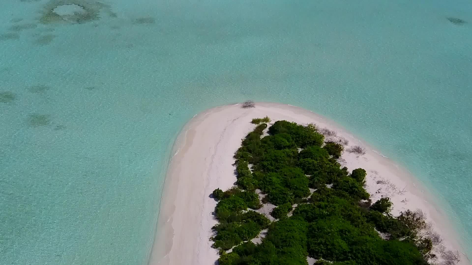 乘坐蓝色水域和清洁沙土背景的豪华旅游海滩视频的预览图