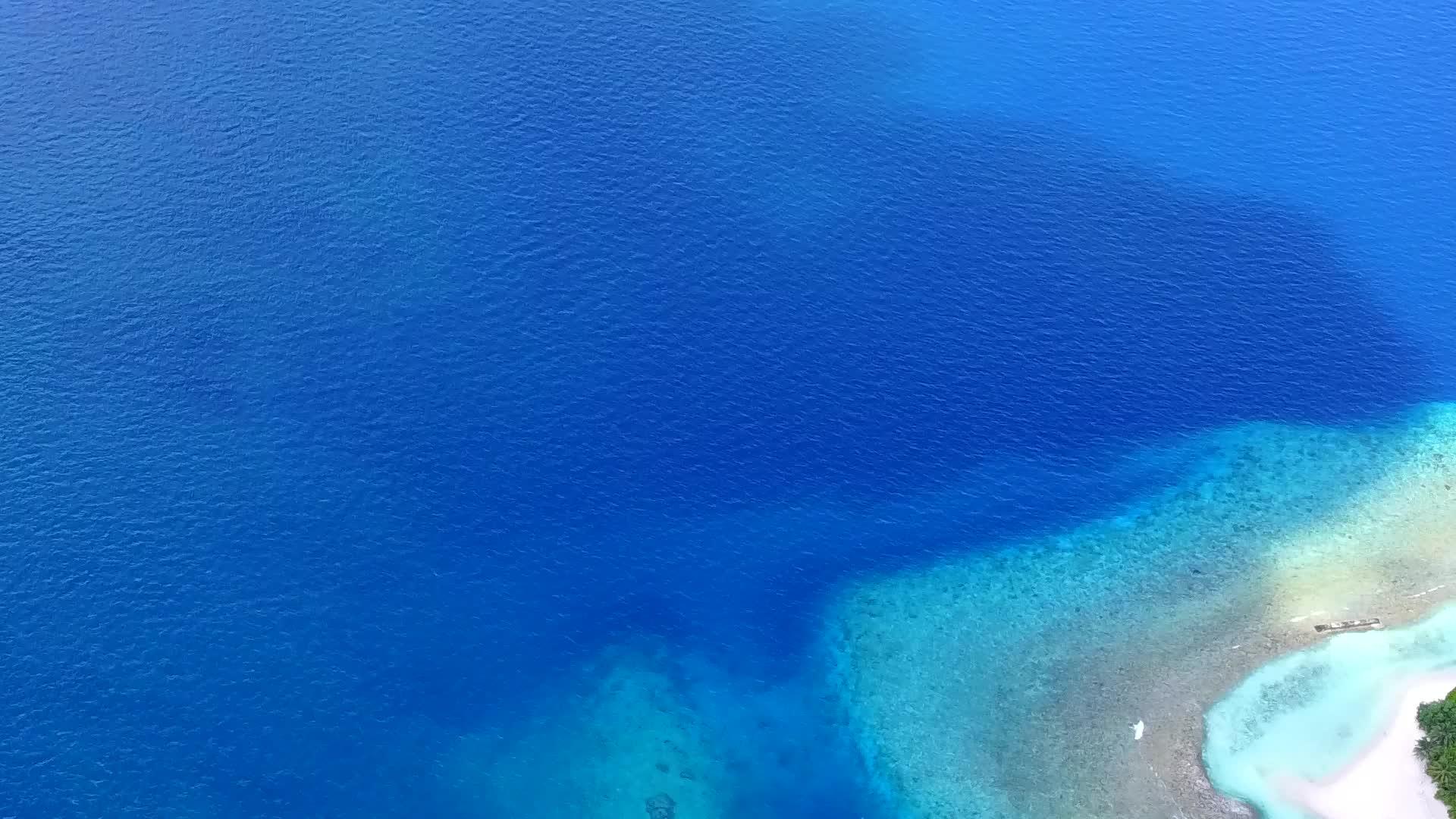 热带旅游海滩野生动物的无人驾驶蓝色绿色海洋和白色沙底蓝色背景视频的预览图
