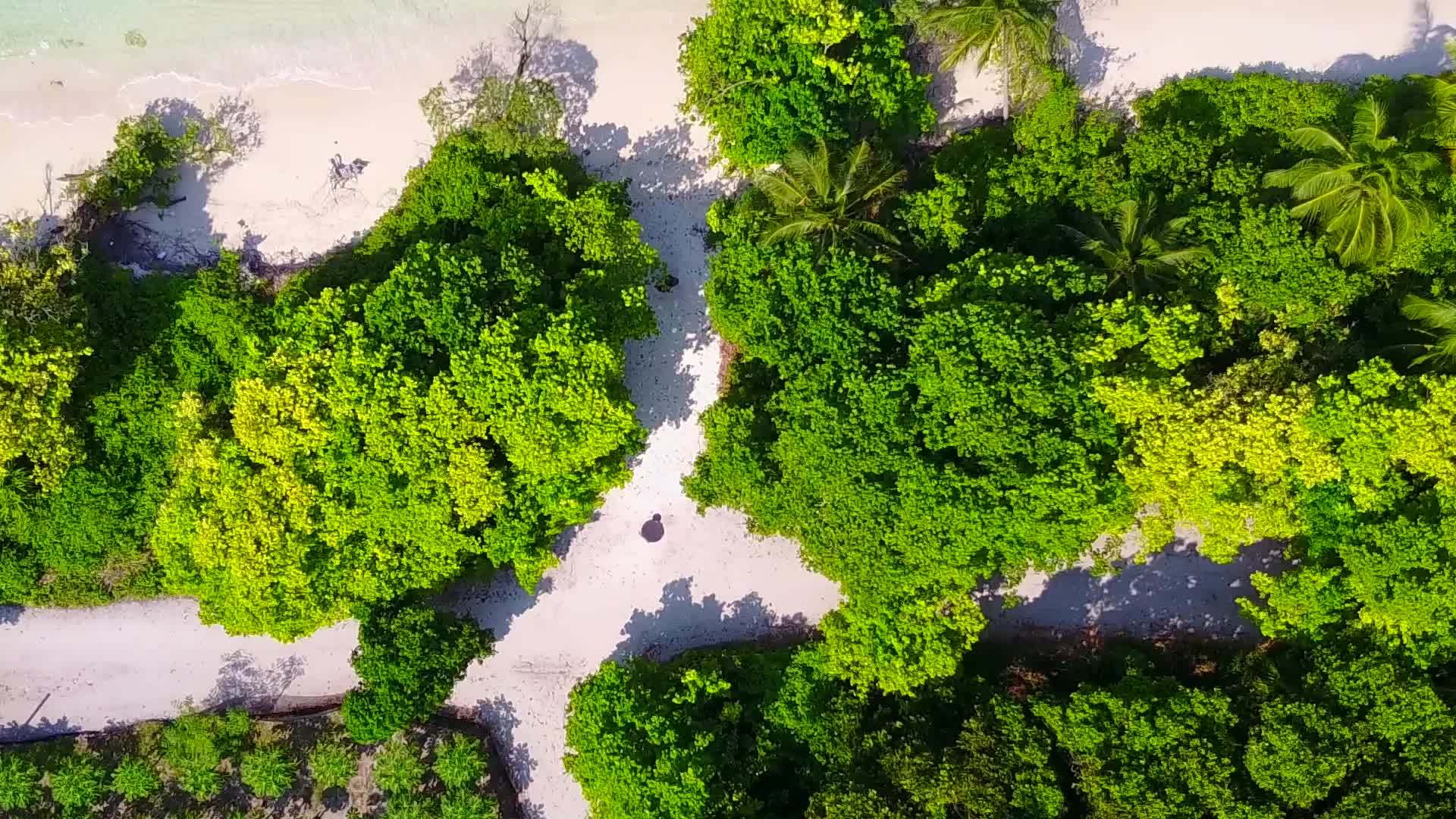 热带度假胜地海滩时间的海景由浅水和白沙背景组成视频的预览图