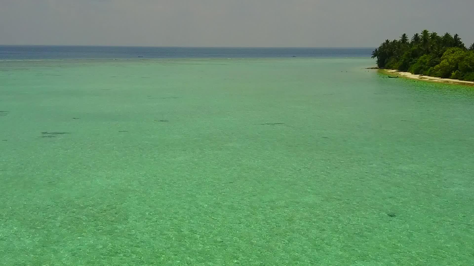热带海岸海滩视频的预览图