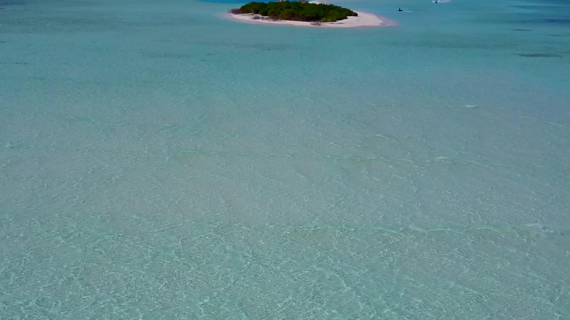 美丽的海岸海滩野生动物的绿色水和白色沙子的背景视频的预览图