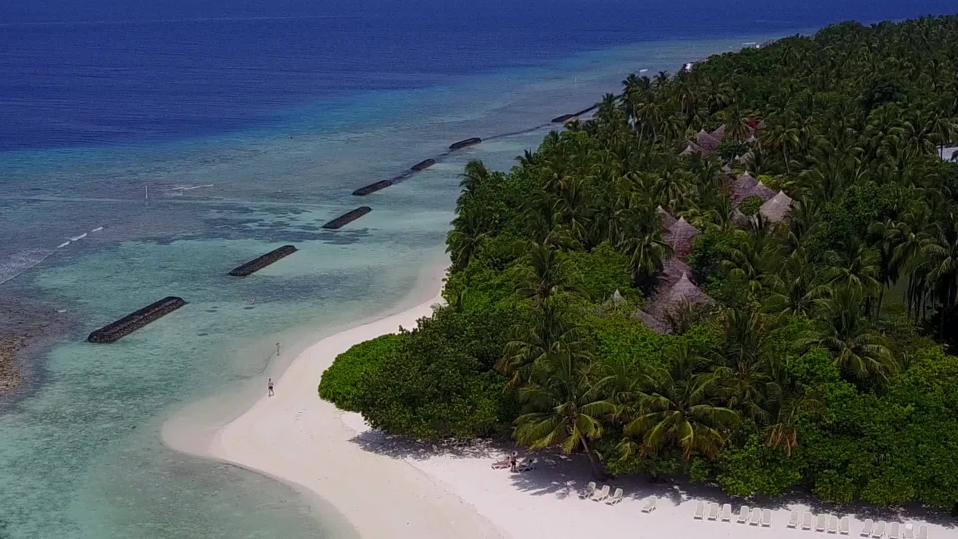 蓝色海洋和白色沙底蓝色海洋天堂湾海滩野生动物在空中无人驾驶视频的预览图