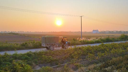 4K航拍稻谷丰收粮食农民装车运送视频的预览图