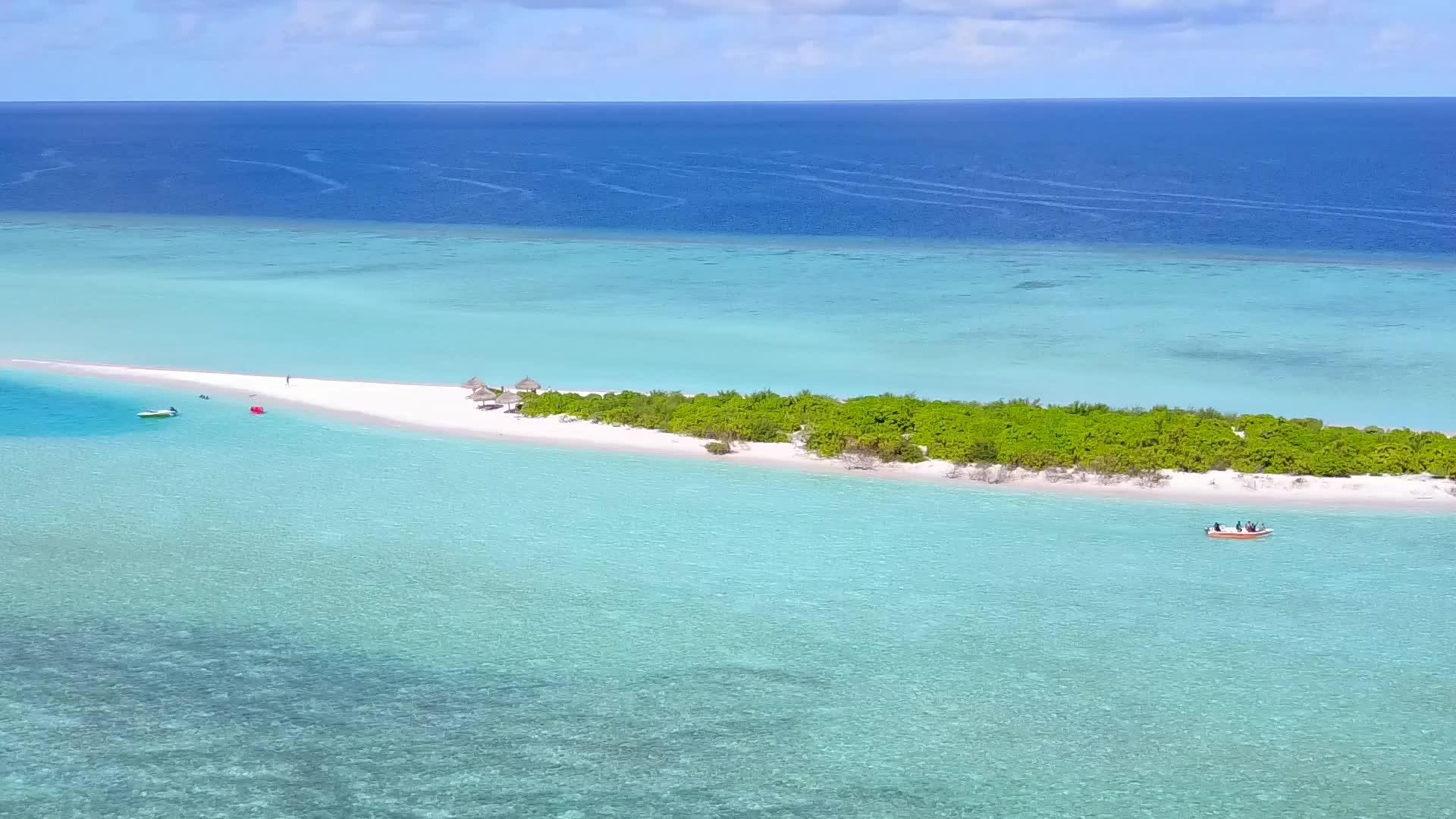 在蓝水和白沙的背景下放松度假胜地海滩野生动物的风景视频的预览图