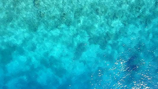 蓝色环礁和白色环礁对热带海岸海滩野生动物的蓝色环礁视频的预览图