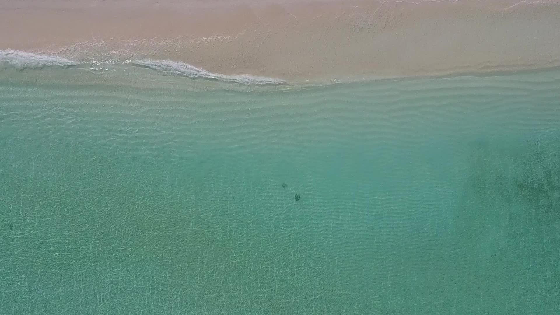 无人驾驶飞机在海边巡逻以白色沙滩为背景绿水为目的视频的预览图