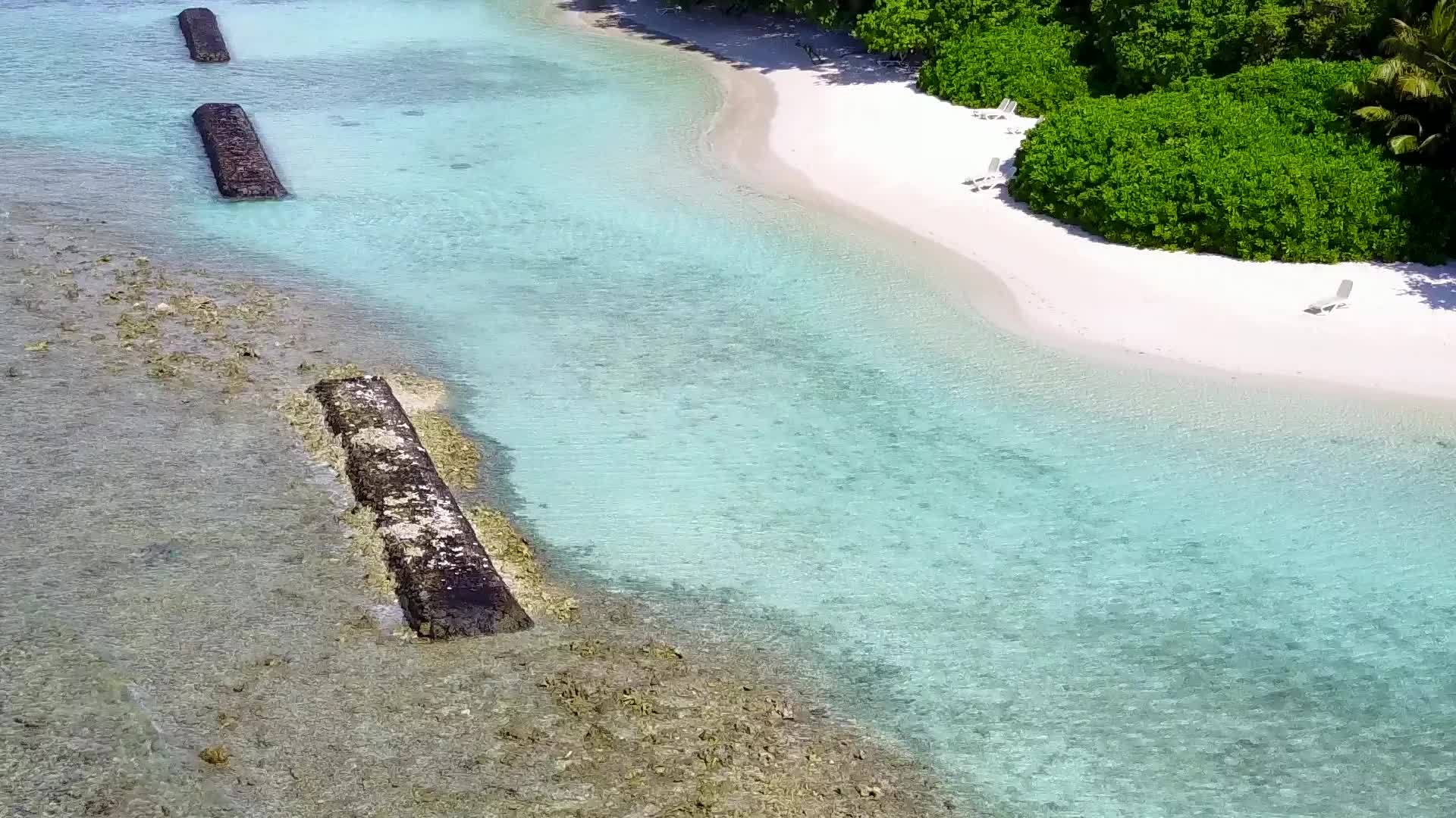 观察海滩野生动物通过环礁湖透明的白色沙子背景视频的预览图
