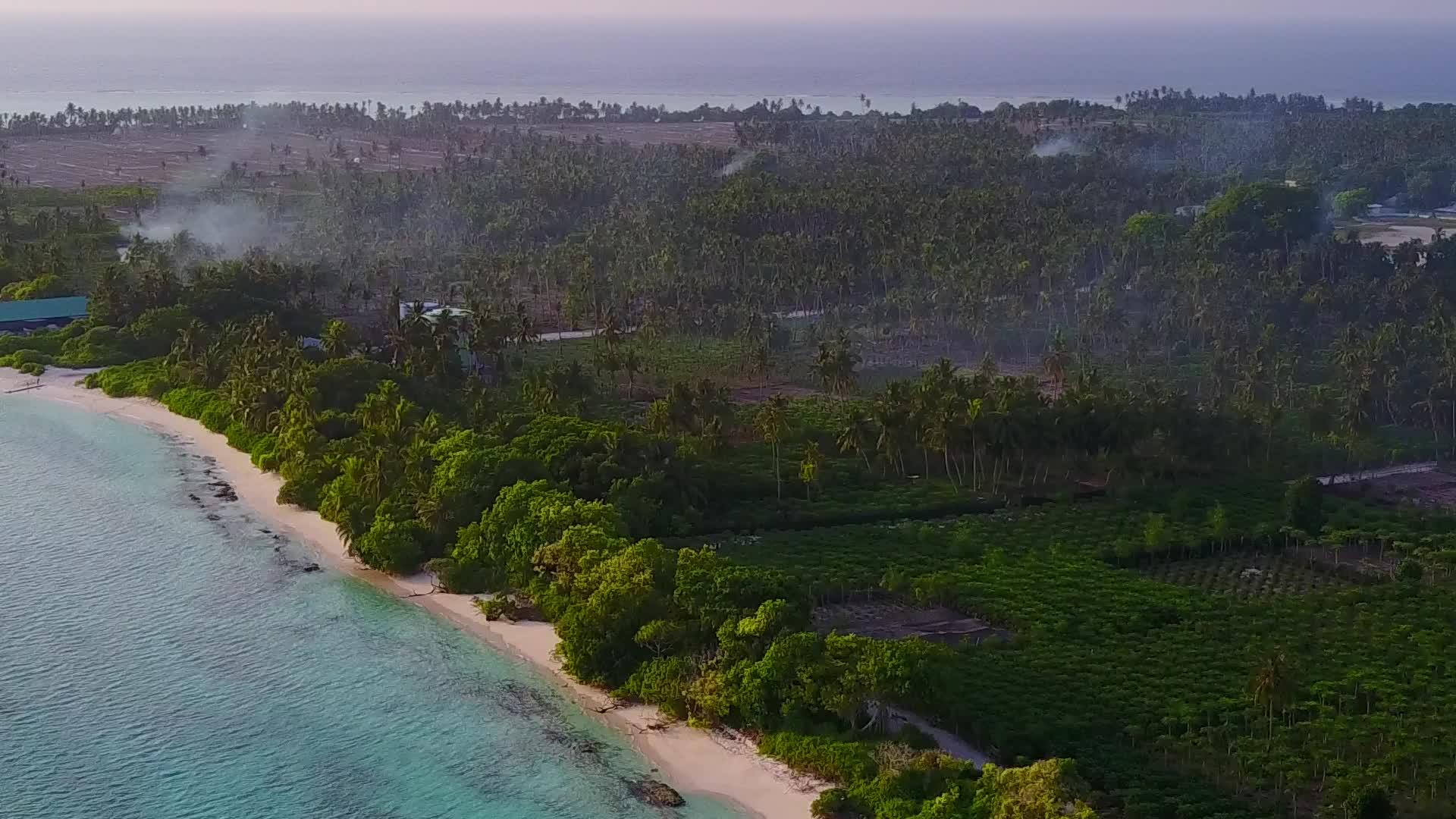 以蓝色绿色海洋的浅沙背景为例在蓝绿色海洋中进行林地旅游视频的预览图