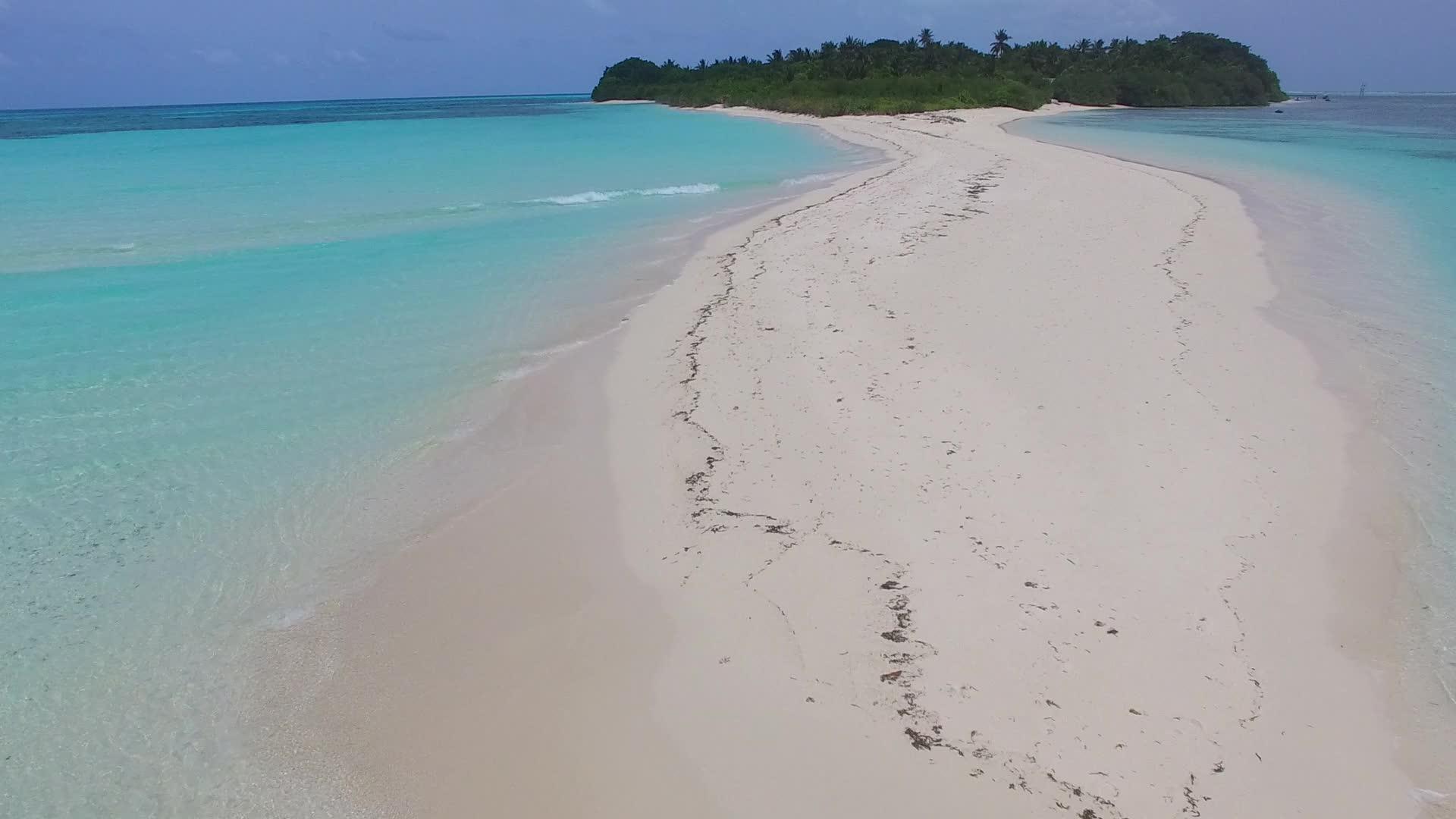 美丽的海滩野生生物抽象内容蓝水和浅沙背景无人驾驶视频的预览图