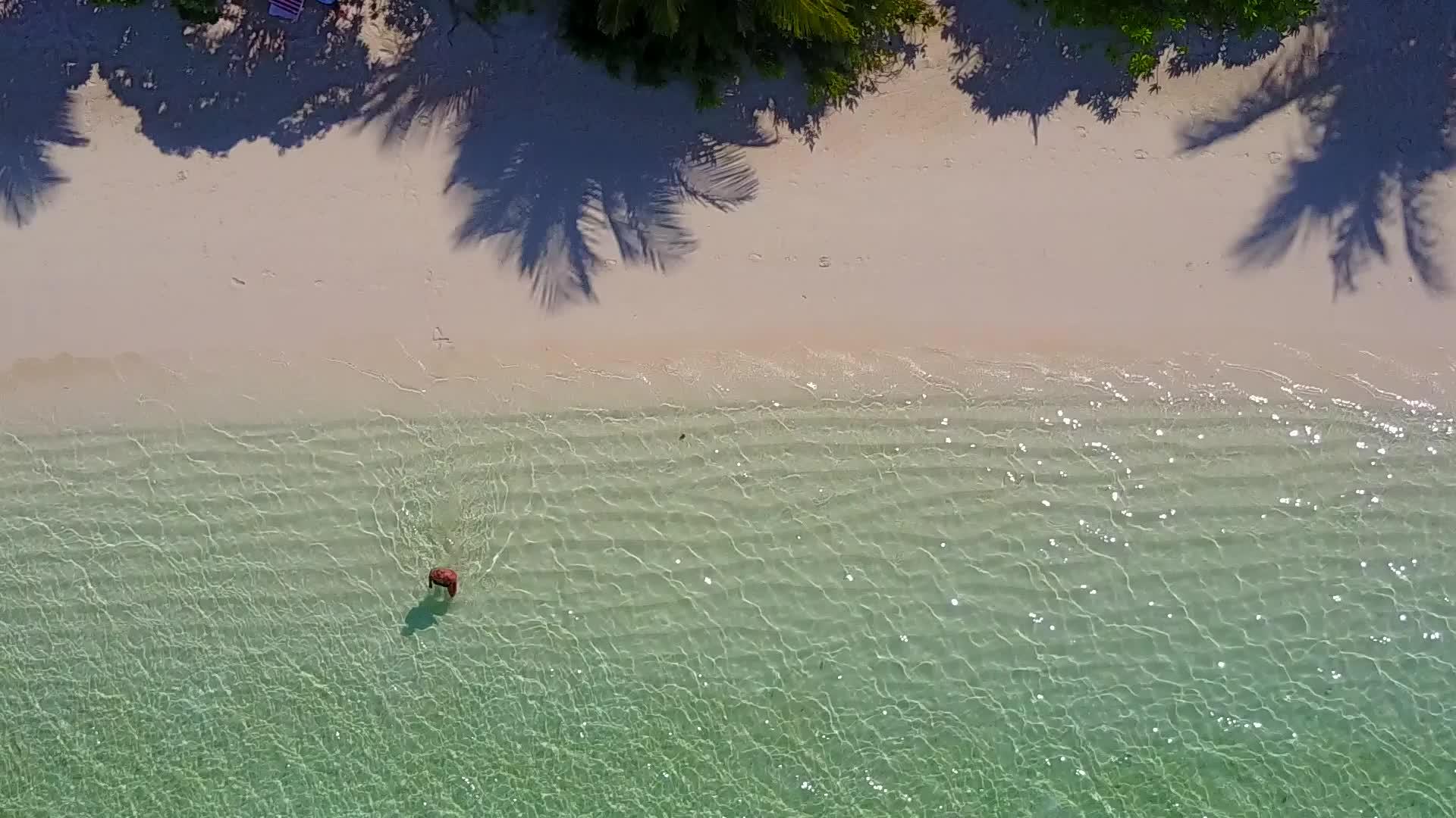 热带海滩在透明海水和白沙的背景下视频的预览图