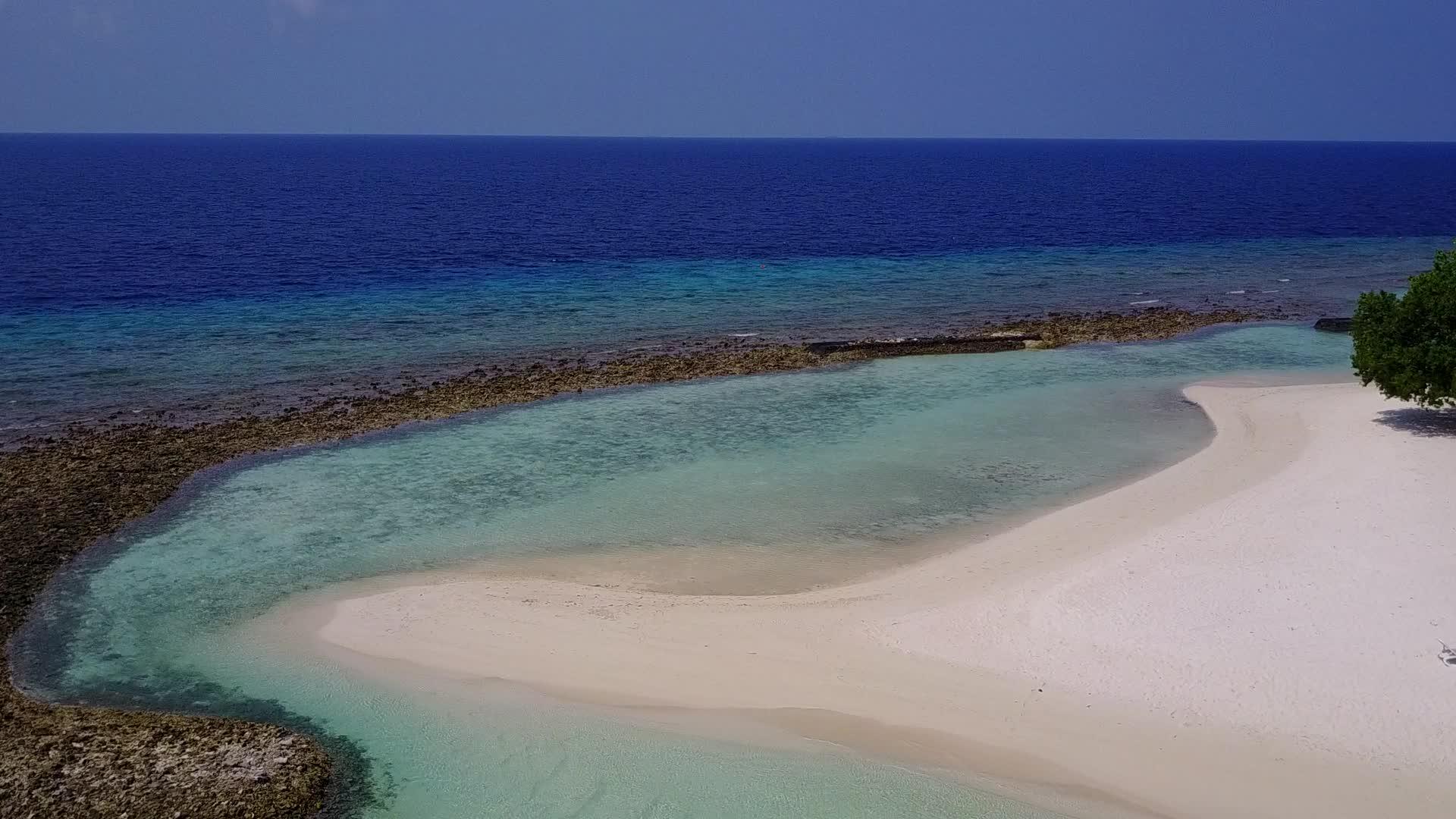 海岸海滩野生生物的背景是清晰的环礁湖和明亮的海滩背景视频的预览图