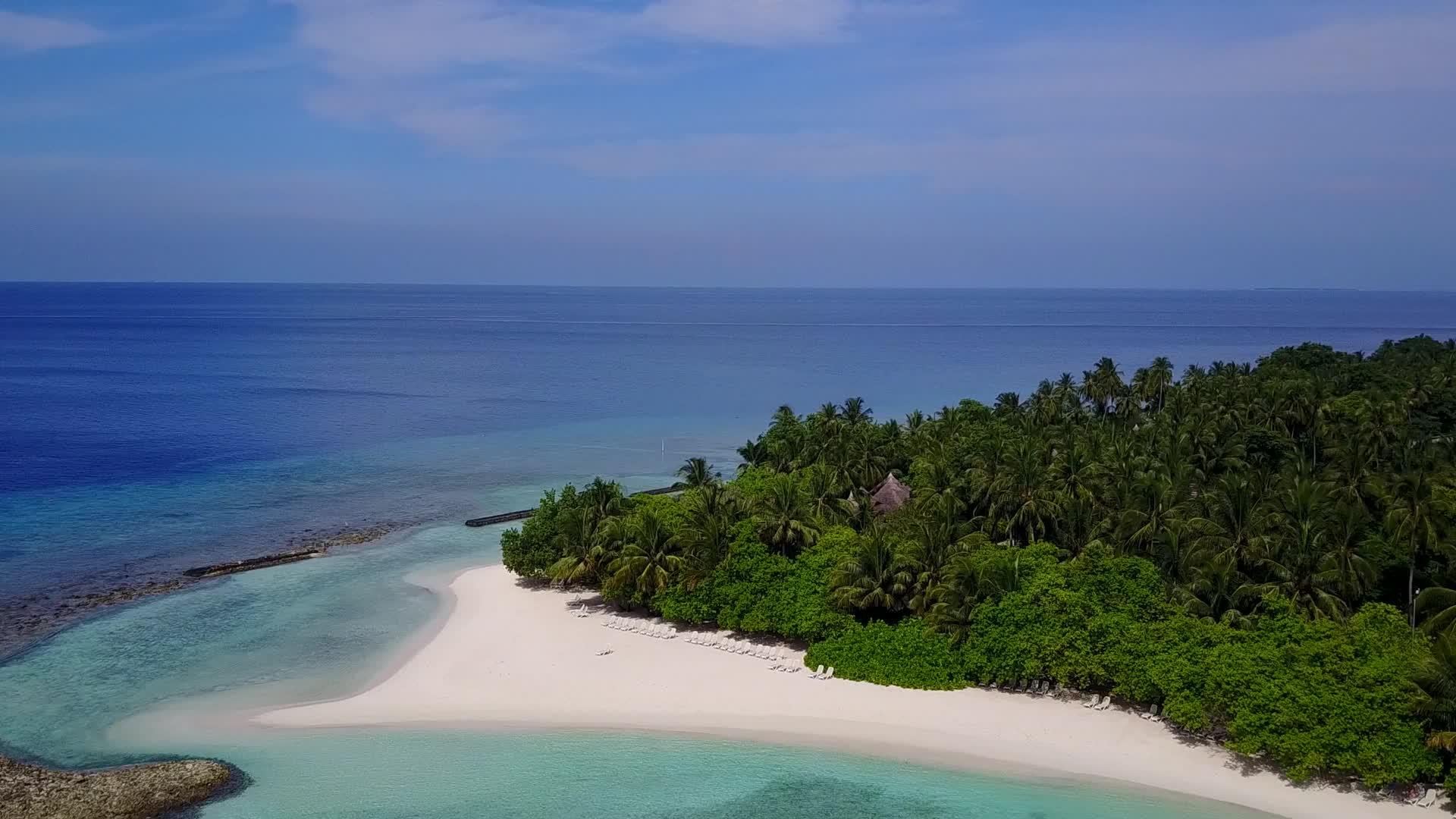 放松岛屿海滩野生动物拥有清晰的环礁湖和清洁的海滩背景视频的预览图