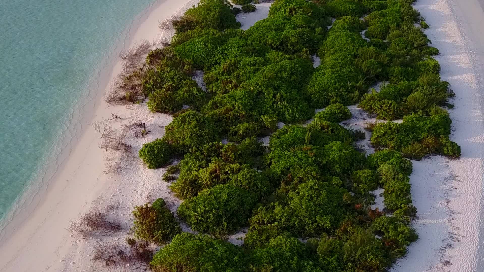 豪华海岸海滩假日无人驾驶透明海面和白色沙沙背景视频的预览图