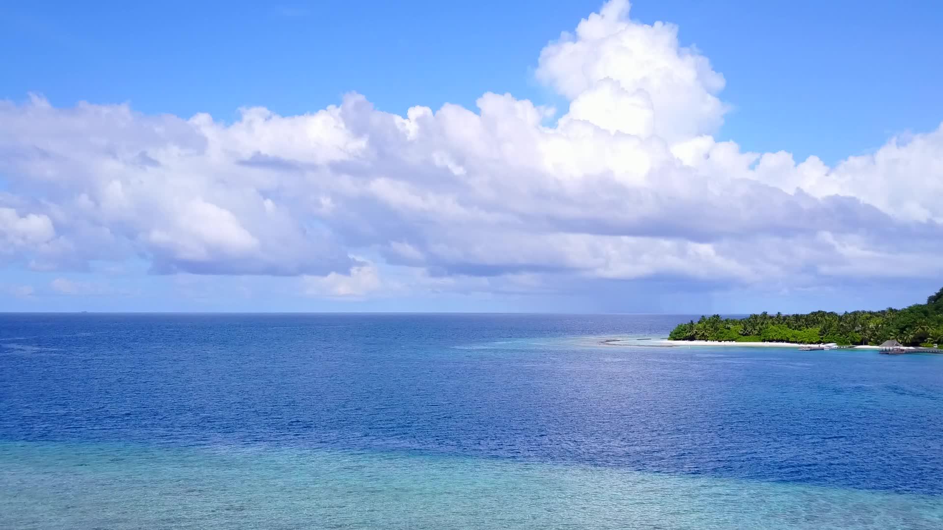 海滩野生动物的完美空中景观以海蓝水和白沙为背景视频的预览图