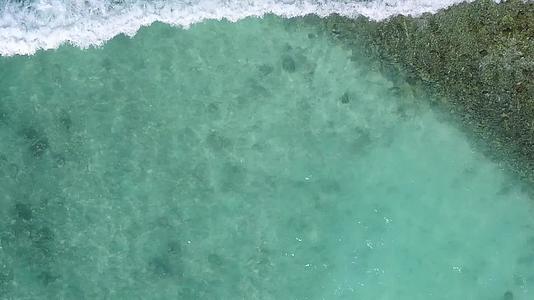 白沙背景蓝海天堂海滩野生动物空中景观旅游视频的预览图