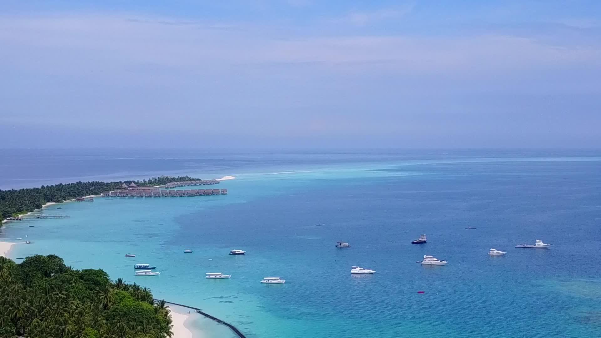 热带背景的蓝色海平面形成了热带海滩野生生物的景观视频的预览图