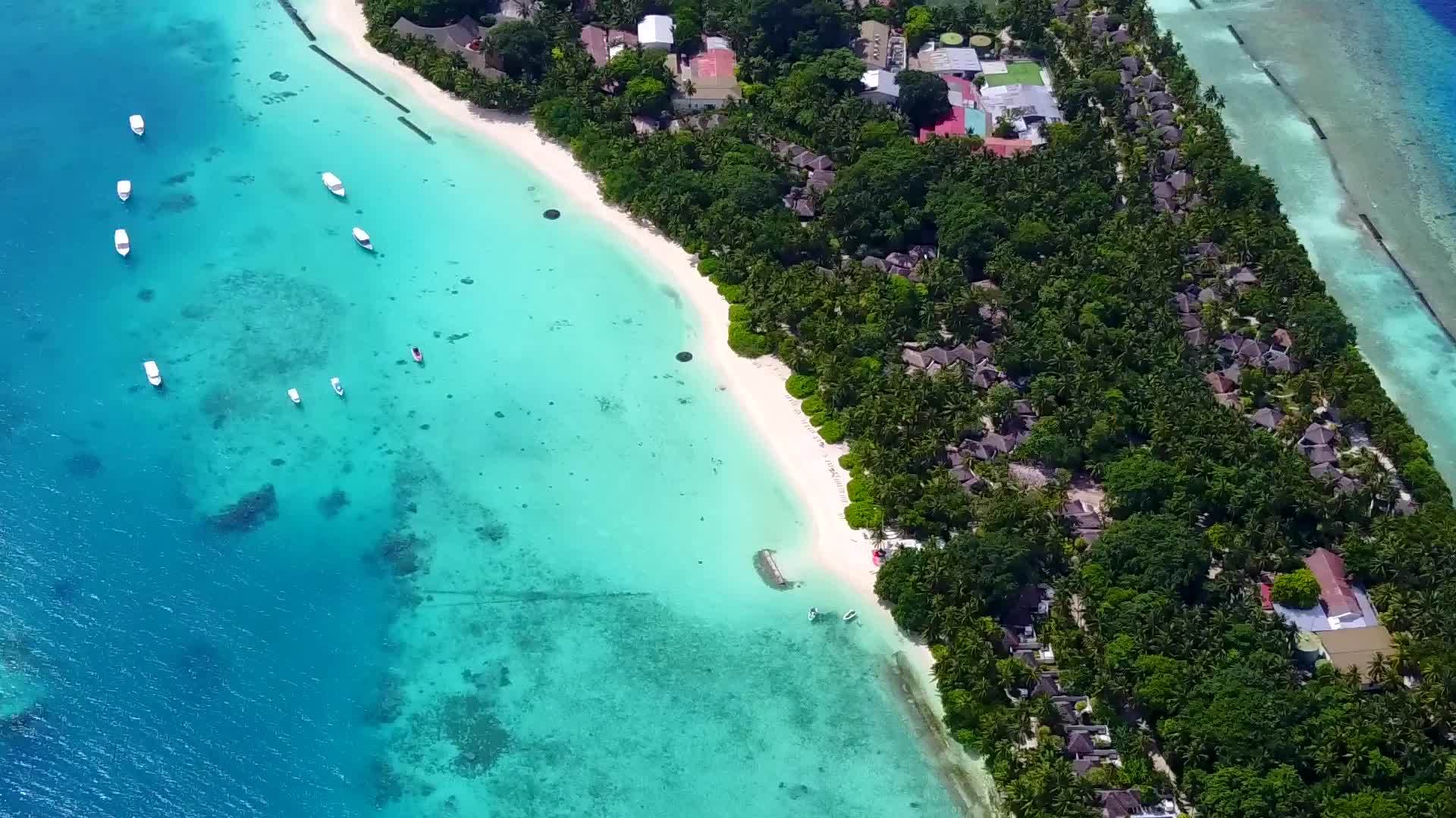 以透明海洋和白沙为背景的外国岛屿海滩生活方式鸟瞰图视频的预览图