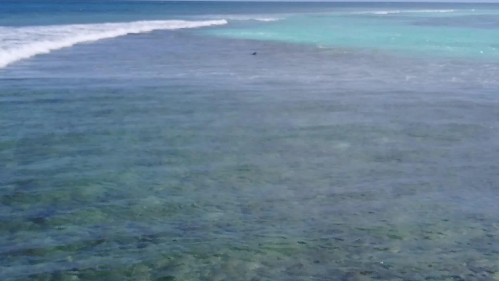 海滨海滩旅游由水蓝环礁湖进行背景是清洁的沙土视频的预览图