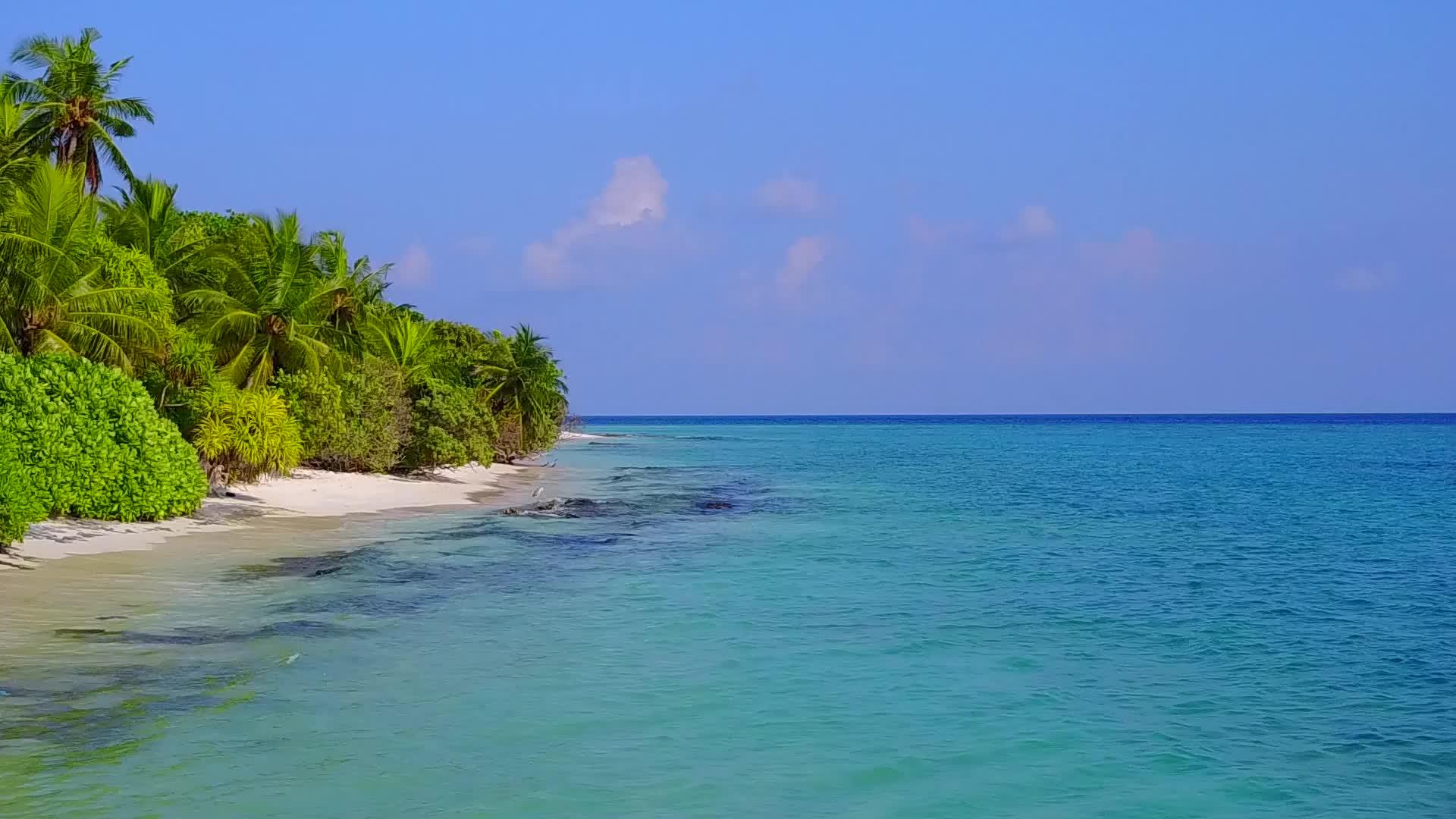 在透明海洋和白沙的背景下海洋湾海滩生活方式无人机在空中视频的预览图