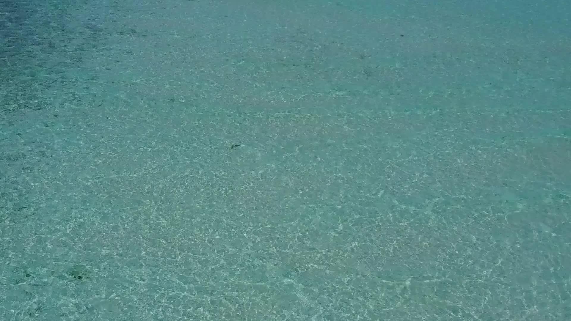 白沙的背景是清澈的大海美丽的海滩冒险的无人机空中风景视频的预览图