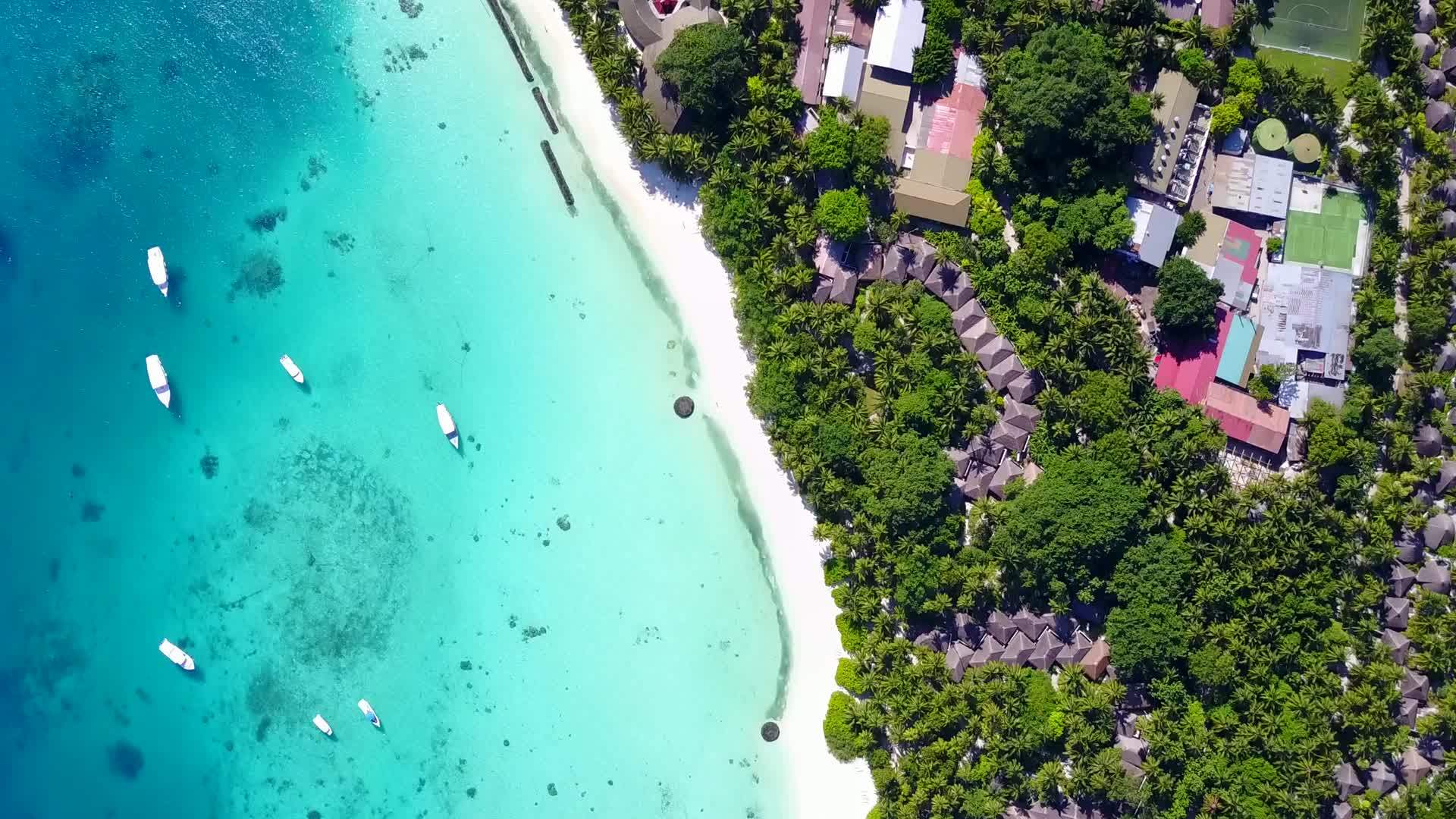 热带海洋以白色沙滩为背景观赏海滩海滩视频的预览图