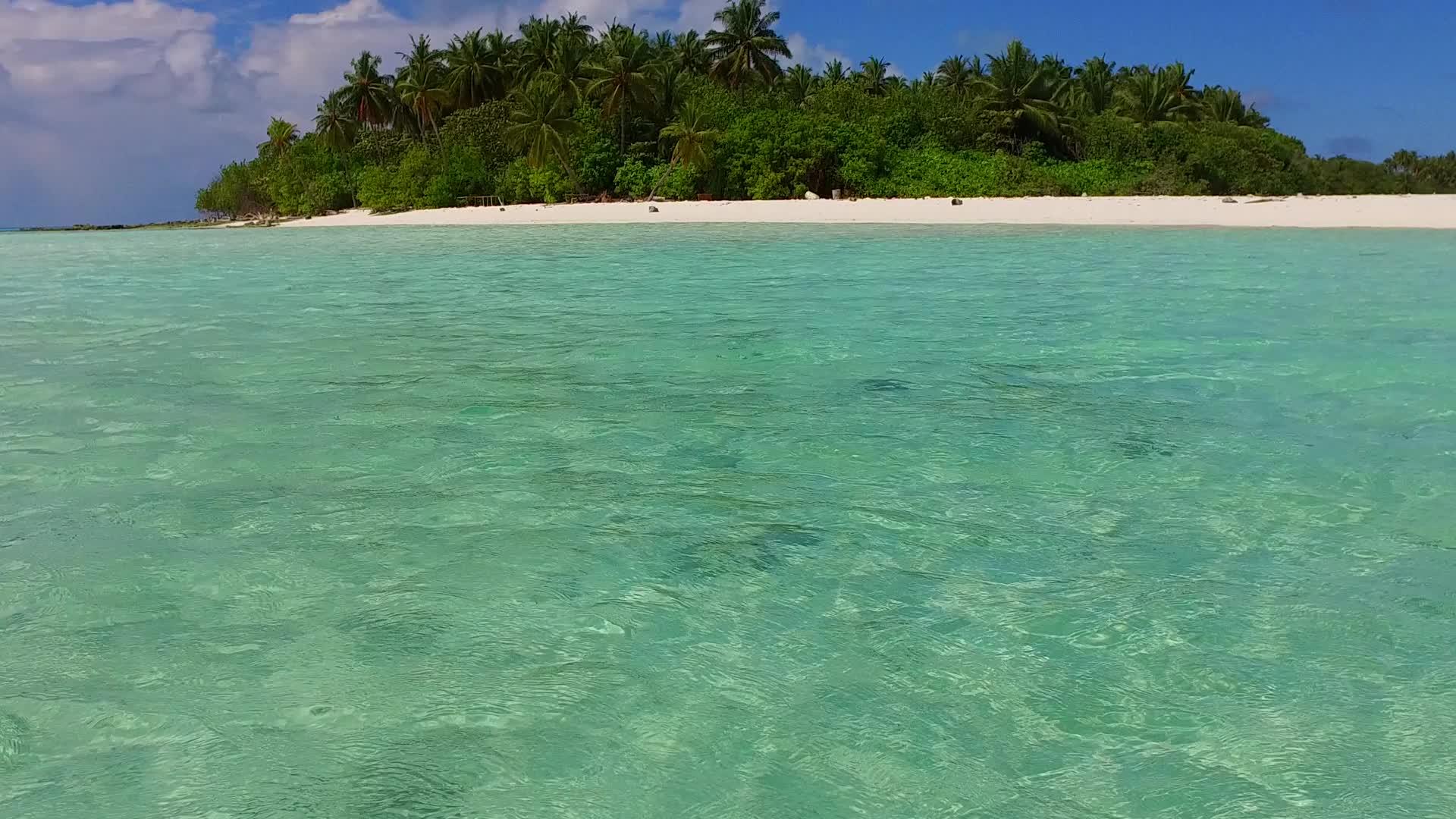 蓝海、白沙底、蓝海和海滩旅游野生生物的海景视频的预览图